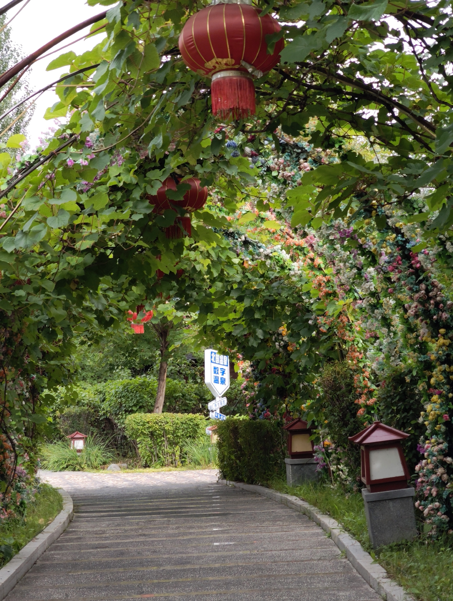 An outdoor pathway, bordered by lush greenery and vibrant floral decorations, leads uphill towards a grove of trees. Red lanterns hang from an overhead arbor covered in ivy, adding a festive touch. A sign with Chinese characters is visible on the right side of the path. Two decorative lanterns, red and square-shaped with illuminated panels, are mounted on stone pedestals on the right side of the pathway. The pathway itself is made of stone steps, worn smooth with age, and a grey concrete border. The overall scene suggests a well-maintained park or garden area, possibly a tourist attraction in 林甸镇, China.