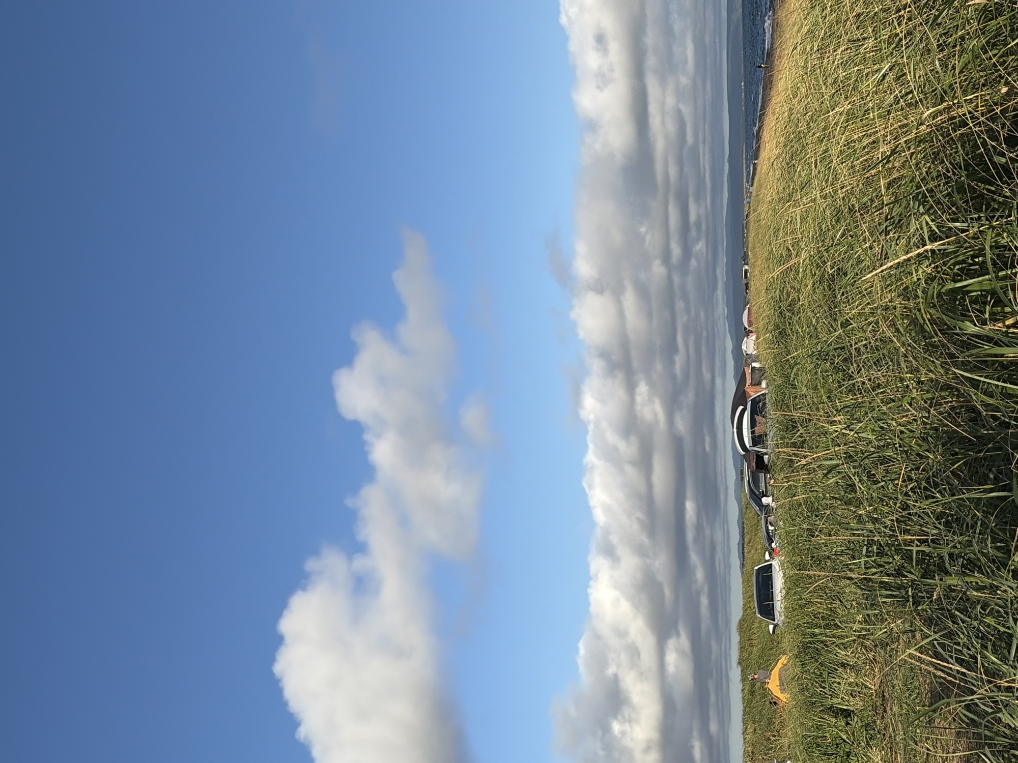 The image shows a wide, flat landscape on a sunny day with a blue sky dotted with fluffy white clouds. In the foreground, tall, green grass sways in the wind. A line of cars is parked in the grass near the shore, with a yellow tent visible behind them. In the distance, the sea stretches out, with a faint outline of mountains on the horizon. The scene appears to be a popular spot for outdoor recreation, possibly a beach or a campsite. The location is described as Ozerskoe, Russia. There are no discernible people in the image, though their presence is implied by the parked vehicles and tent.