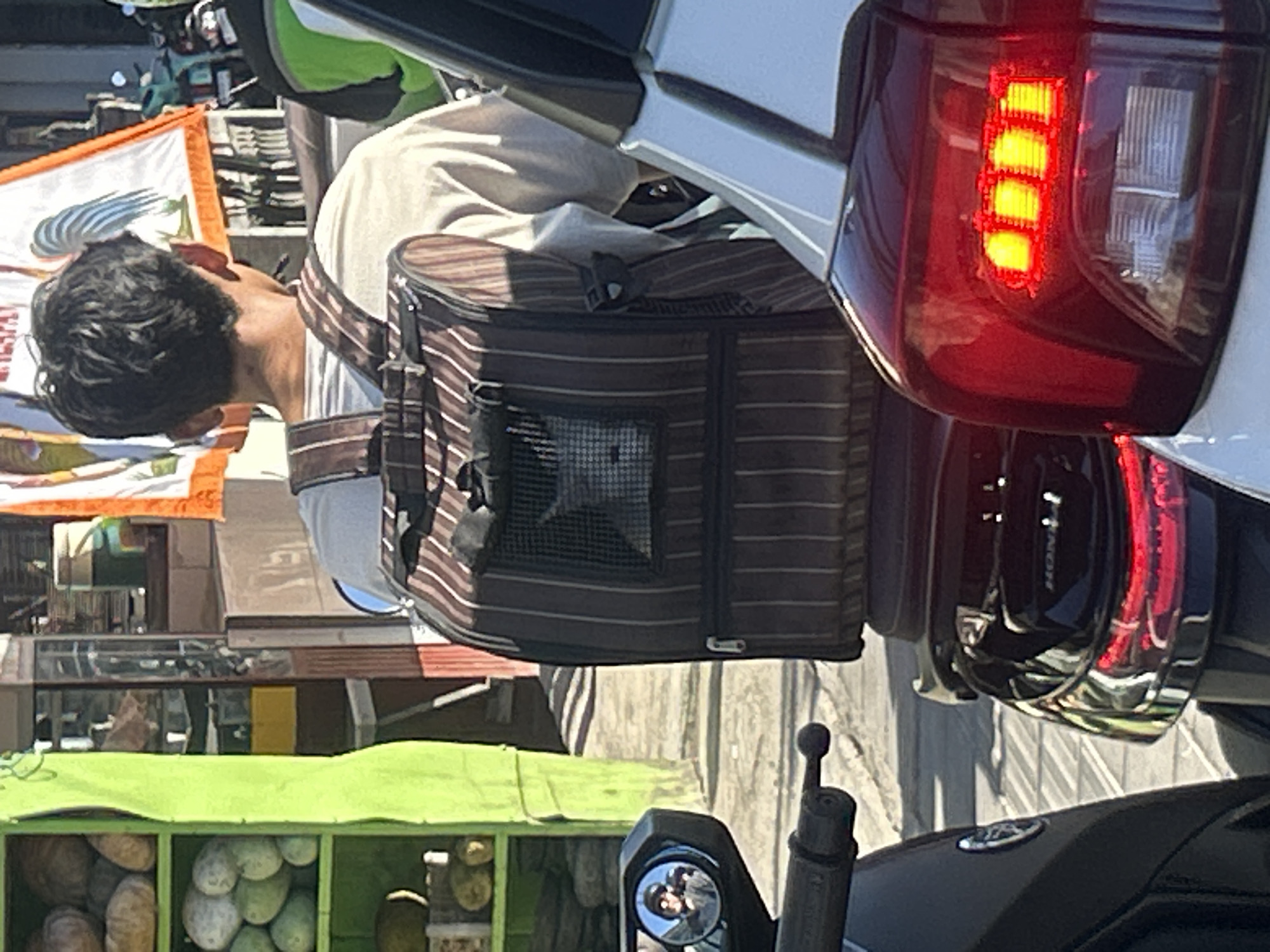 A man is wearing a backpack-style pet carrier strapped to his back, and a white cat's face is visible through the mesh window. The man is standing next to a motorcycle with a red taillight. The taillight is labeled 'HONDA'. A green food cart sits nearby, with melons or gourds in the cart's display. The location is identified as North Kuta, Indonesia.