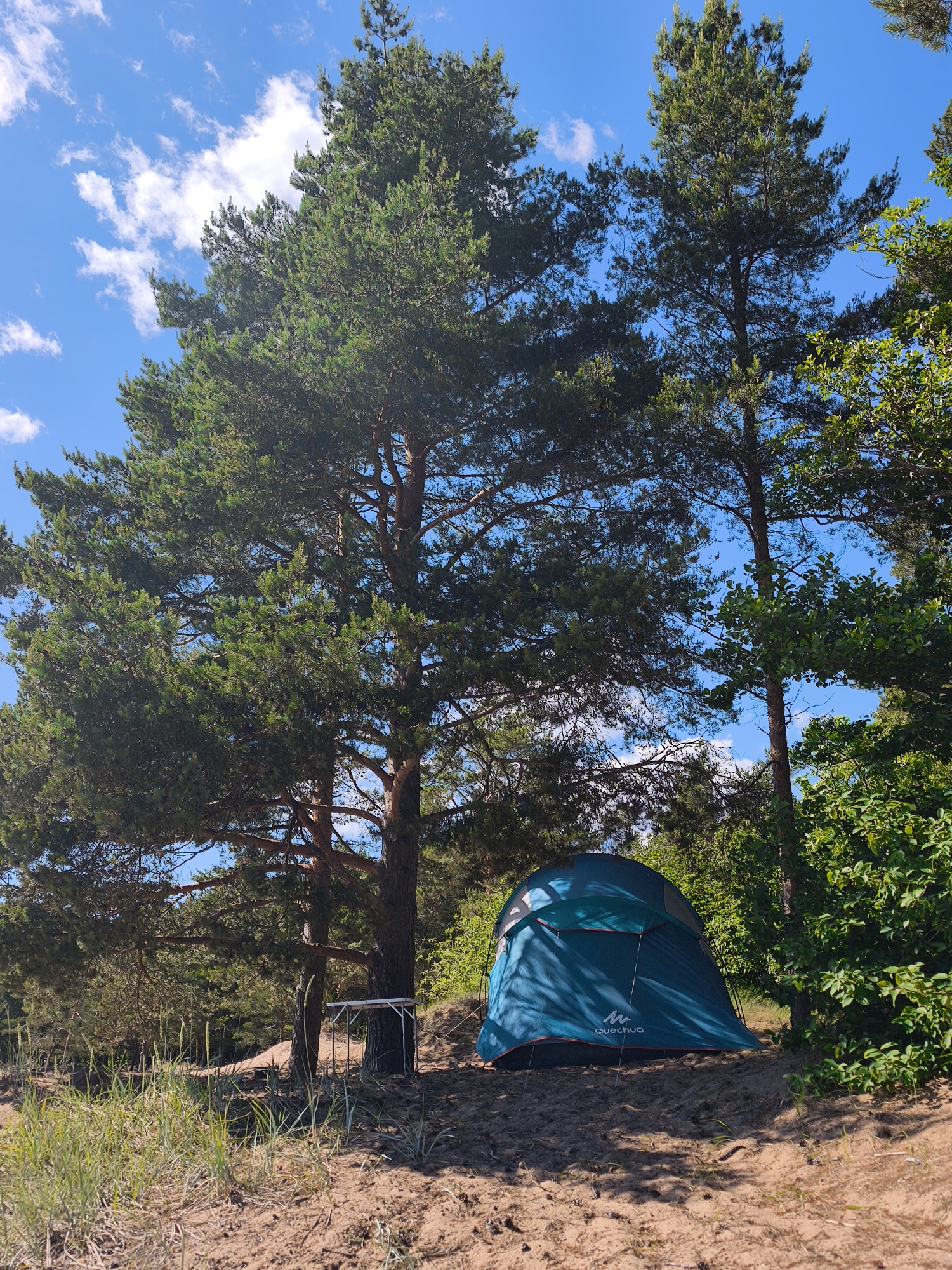 A blue and teal tent is pitched on sandy ground, partially shaded by tall pine trees. A small, white folding table stands beside one of the trees. The scene is set in a natural environment with lush green foliage surrounding the camping area. The sky is blue with scattered white clouds, indicating pleasant weather. The time of day appears to be daytime, likely late morning or early afternoon, given the bright sunlight casting shadows. The location is implied to be a campsite or an area suitable for camping, with sand and vegetation characteristic of a forest or coastal environment. Visible text on the tent reads "Quechua". The overall mood is peaceful and serene, suggesting a moment of outdoor recreation or relaxation.