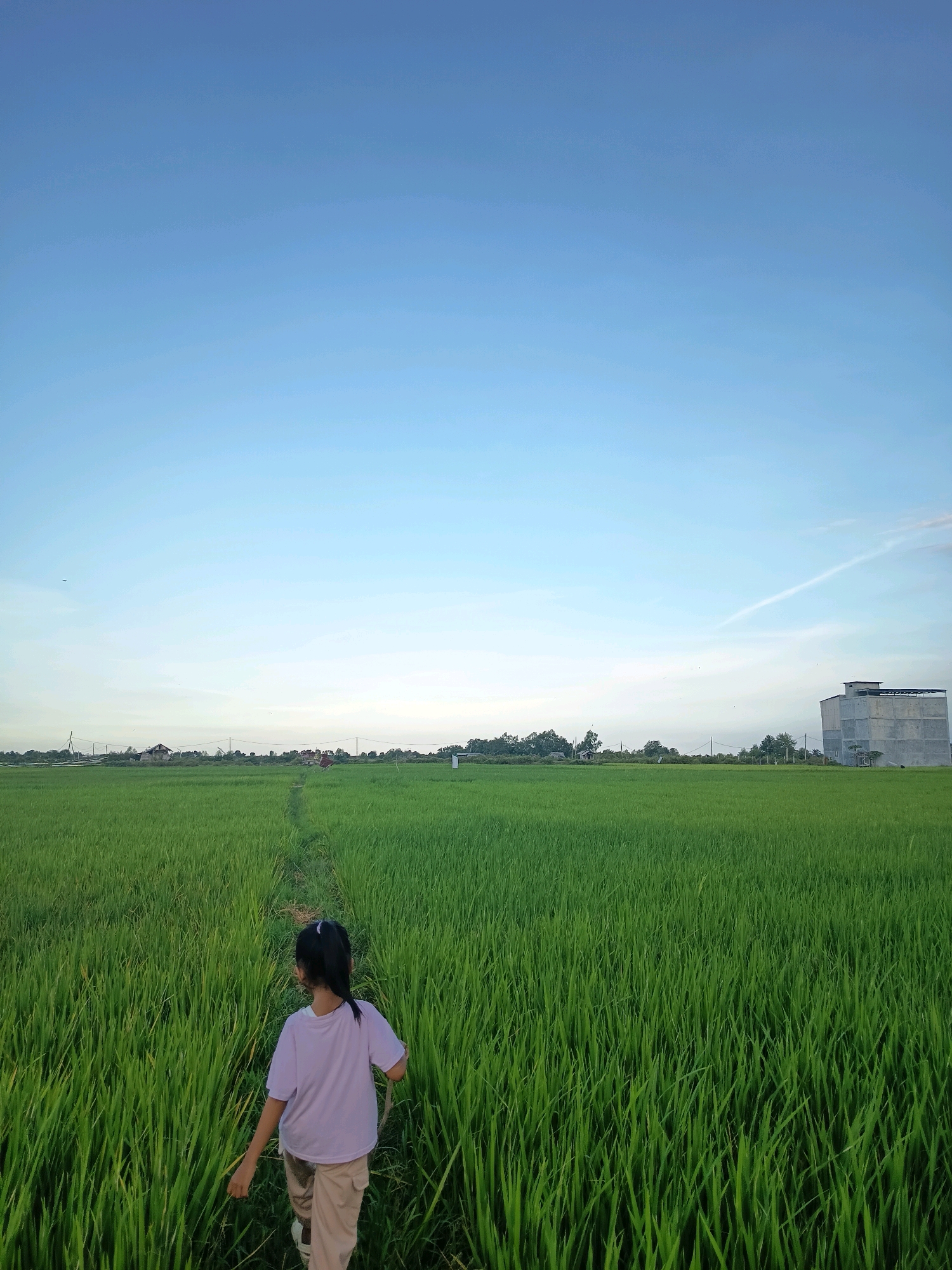 In Seuneubokdalam, Indonesia, a young girl with dark hair tied in a ponytail, wearing a light purple t-shirt and beige pants, walks along a narrow dirt path through a vast, vibrant green rice paddy field under a clear blue sky. The field extends to the horizon, where trees and a few distant buildings are visible. To the far right, a multi-story concrete structure stands out against the landscape. The image captures a serene, rural setting.