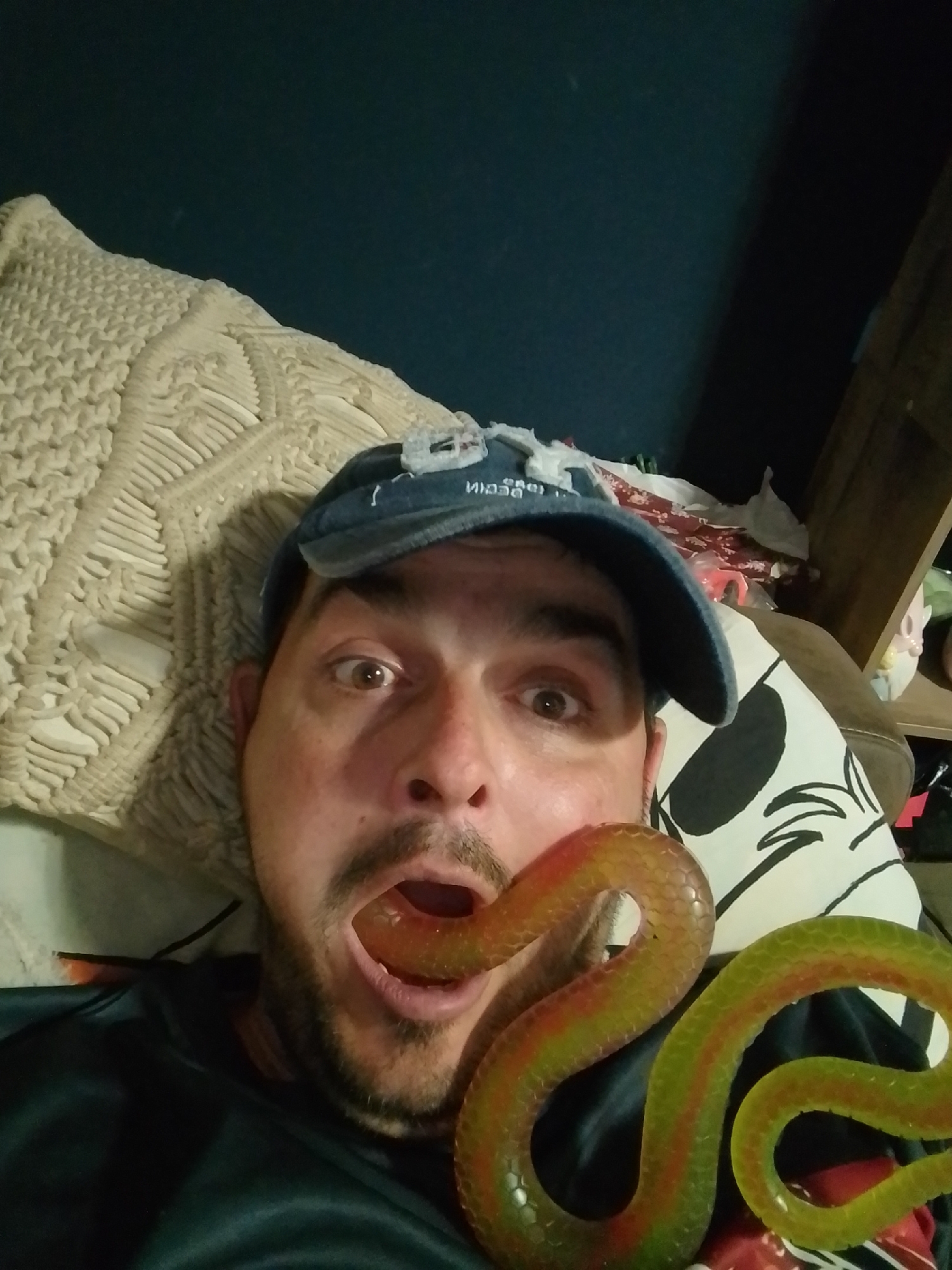 The image shows a man wearing a blue baseball cap and a dark blue t-shirt. He is lying down and has a rubber snake toy in his mouth. The snake toy is translucent with red and green markings. The man has brown eyes and a beard. He is lying on a bed with a large cream-colored textured pillow behind his head. A black and white pillow with a cartoon character design is visible to his right. In the background, there is a wooden shelf with some items on it, including what appears to be a pink garden gnome and a white pillow or stuffed animal. The background wall is a dark blue color. The man's expression suggests he is playing or joking. There is no indication of the city of Wedel, Germany, in the image.