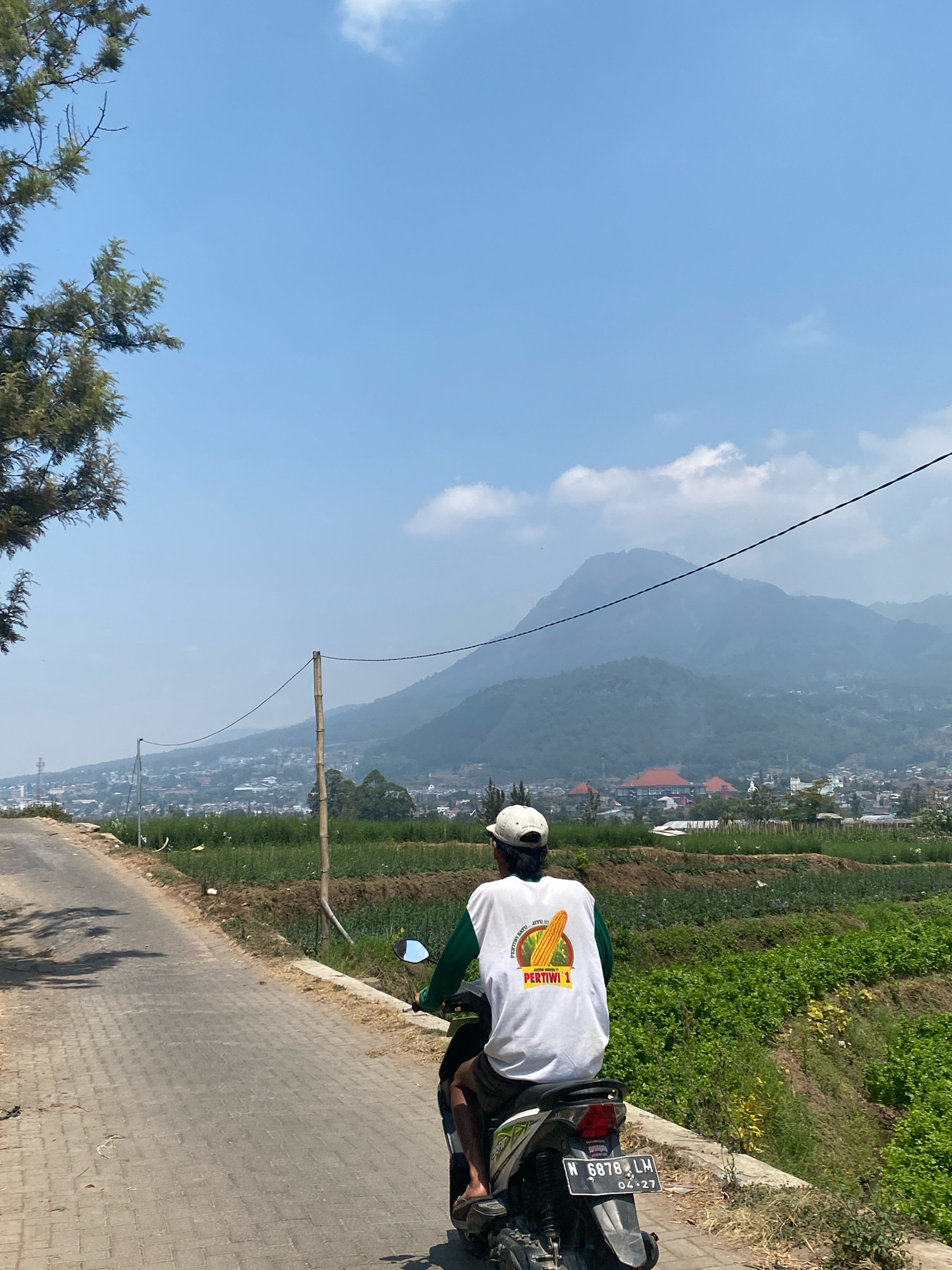 An outdoor, eye-level, medium shot captures a person riding a motorcycle on a paved road with a brick-like pattern. The rider, facing away from the camera, wears a white t-shirt with a graphic print and a white cap. The motorcycle is black and white. The road curves to the left and ascends slightly. To the right of the road, a lush green field with rows of plants stretches into the distance, bordered by a dirt embankment. In the background, a town or city is visible, nestled at the foot of rolling, mist-shrouded mountains under a clear blue sky with sparse clouds. A bamboo pole with wires runs across the scene. The lighting suggests it is daytime with the sun out.