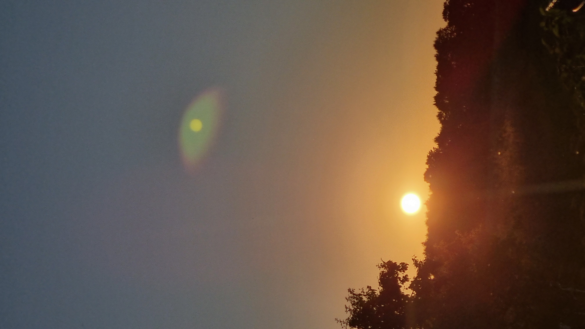 The image shows a sunset over a wooded area, likely in or near the city of Vysokoe, Russia. The sun is visible in the lower center of the frame, casting a warm orange glow across the sky. A lens flare, appearing as a yellowish-green oval, is present in the upper portion of the sky. Silhouetted trees form a dark line across the horizon. The foreground is also dark and appears to be a natural landscape, possibly with some vegetation. The sky transitions from a deep blue at the top to a softer orange and yellow near the horizon.