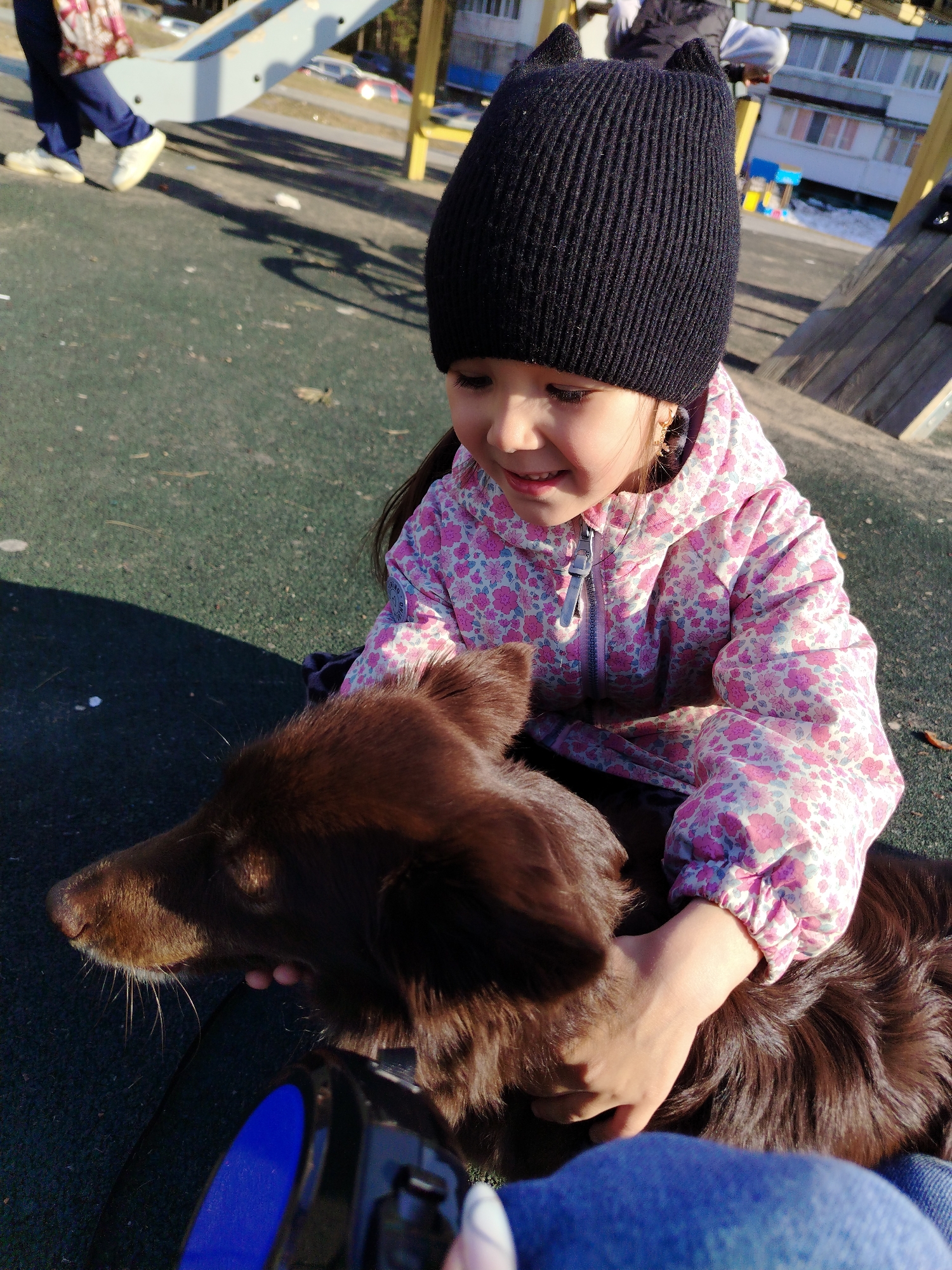 A young girl in a black cat-eared hat and a floral jacket sits on the ground, hugging a brown dog. The scene appears to be a playground in Noviy, Russia, suggested by the architecture of the apartment buildings in the background. Other playground equipment is visible, including a slide. There are other people in the background, and the ground appears to be a rubberized safety surface. A leash is held in front of the dog. The weather seems sunny.