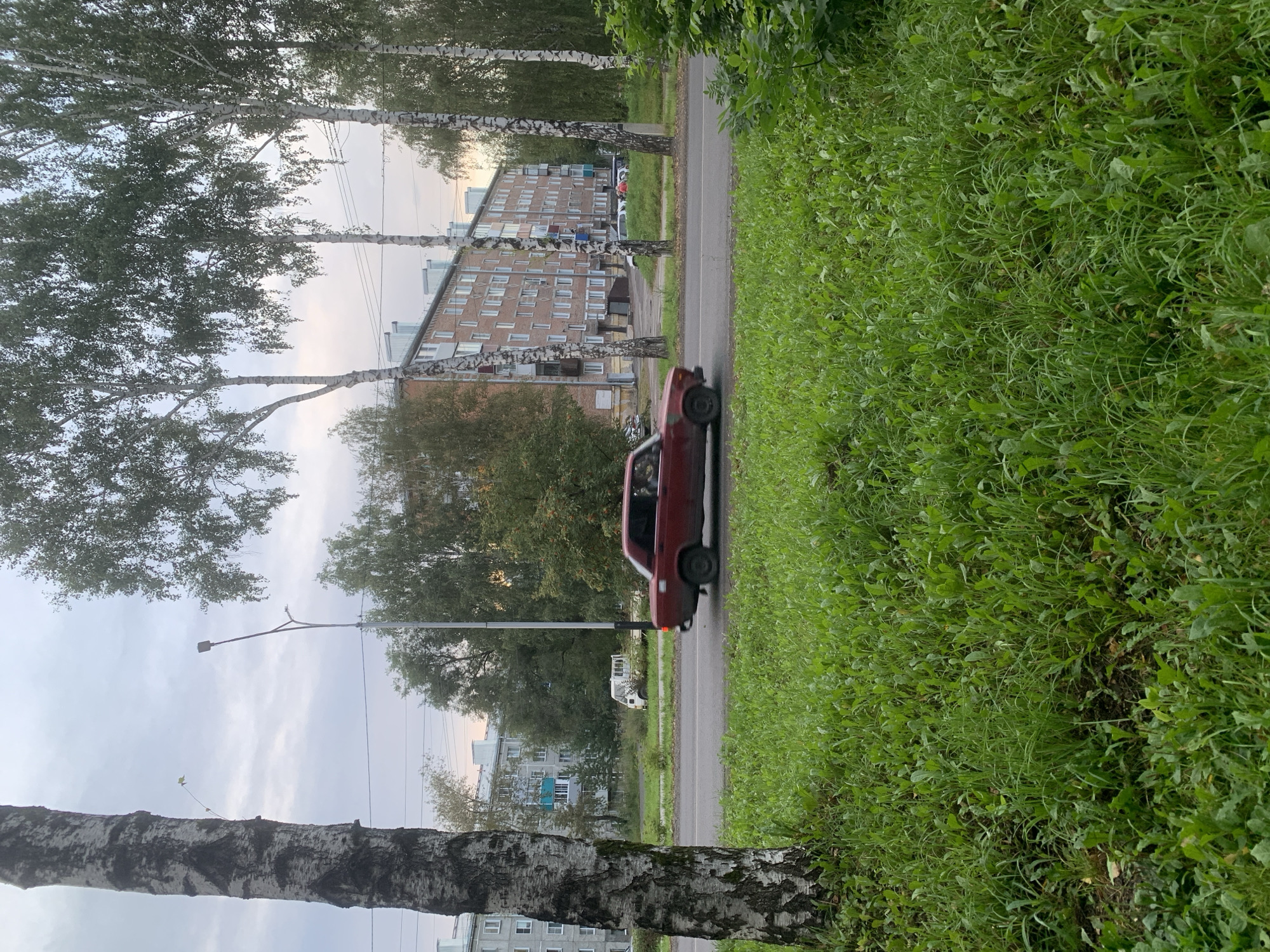 The image captures a street scene in Prokopyevsk, Russia, likely during overcast weather. In the foreground, a patch of lush green grass dominates the lower portion of the frame. A dark-colored, four-door sedan, possibly a Lada, is in motion on the asphalt road, blurred due to its speed. Behind the road, several tall birch trees with distinctive white bark and dark markings stand as prominent natural elements. Beyond the trees, a multi-story apartment building with numerous windows is visible, characteristic of Soviet-era architecture. Other vehicles, including a white van and several parked cars, are scattered in the background. Power lines are strung across the sky. The overall impression is a typical urban landscape with a mix of residential buildings and natural vegetation.