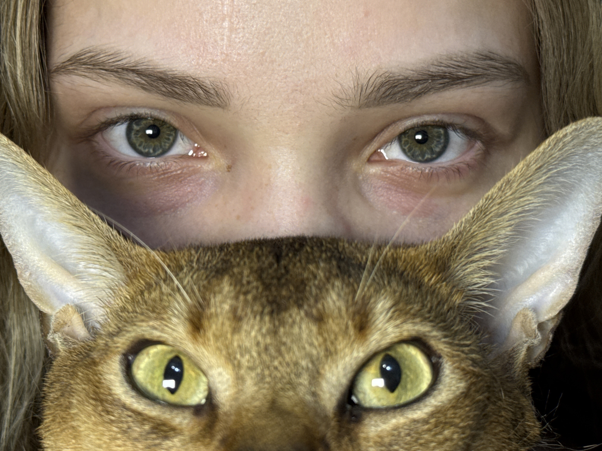 The image shows a close-up of a person's face with a cat partially obscuring the lower half. The person has fair skin, green eyes, and blonde hair visible at the edges of the frame. Their eyebrows are light brown and slightly furrowed. The cat's face is centered below the person's eyes, with the cat's ears visible to the sides. The cat is a golden-brown color with yellow eyes and visible fur texture. The background is dark and out of focus. No location is discernible from the image.
