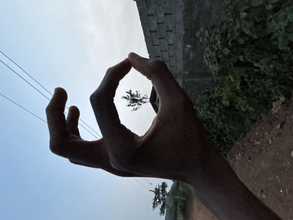 A silhouetted hand makes an "okay" sign, framing a small tree against a light blue sky. Power lines extend from the left side. A brick wall and lush green vegetation are visible behind the hand, positioned along a dirt path. Another tree stands in the background, near the path. The angle is slightly rotated, creating a dynamic perspective.