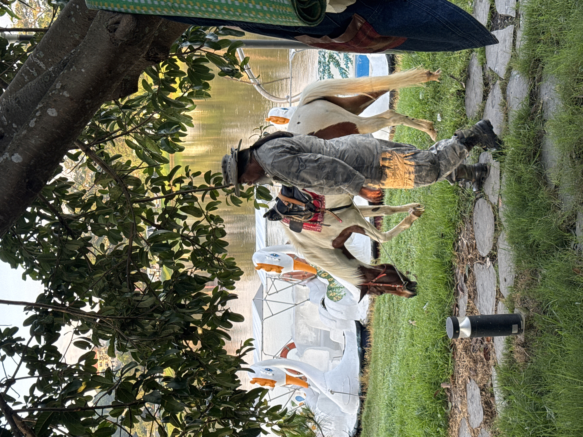 This image depicts a man and a horse in front of swan-shaped pedal boats on the bank of Xuan Huong Lake in Da Lat, Vietnam. The man, wearing a camouflage outfit and a hat, is walking alongside the horse, which is saddled and bridled. The pedal boats, shaped like white swans with orange beaks and blue eyes, are partially visible, lined up on the grassy shore. The background shows a calm body of water reflecting the trees and sky, with a hint of buildings and hills in the distance. The scene is set outdoors, under the shade of a large tree.