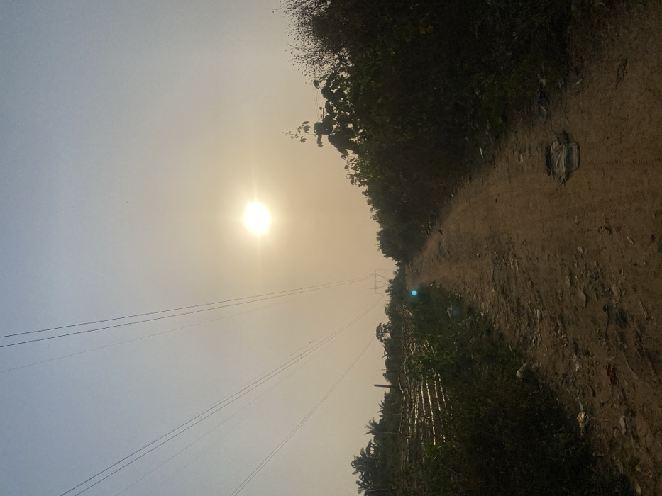 A dirt path stretches forward under a hazy sun. Thick vegetation lines both sides of the path, with power lines extending across the sky. Some litter is present on the ground beside the path. A utility tower is faintly visible in the distance. The overall atmosphere is hazy and muted.