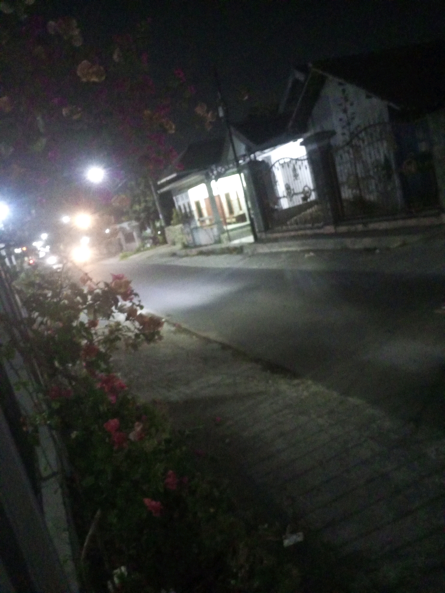 This is a dimly lit, low-angle nighttime photograph taken outdoors in Ngasem, Indonesia. In the foreground, a bush with pink and red flowers, possibly bougainvillea, is visible. To the right of the bush is a paved sidewalk made of interlocking bricks. Beyond the sidewalk, a paved road stretches into the distance, illuminated by streetlights and the headlights of at least two vehicles, one of which appears to be a motorcycle. In the background, several houses are visible, one with a black metal gate and white lights emanating from its windows. The overall scene depicts a quiet residential street at night.
