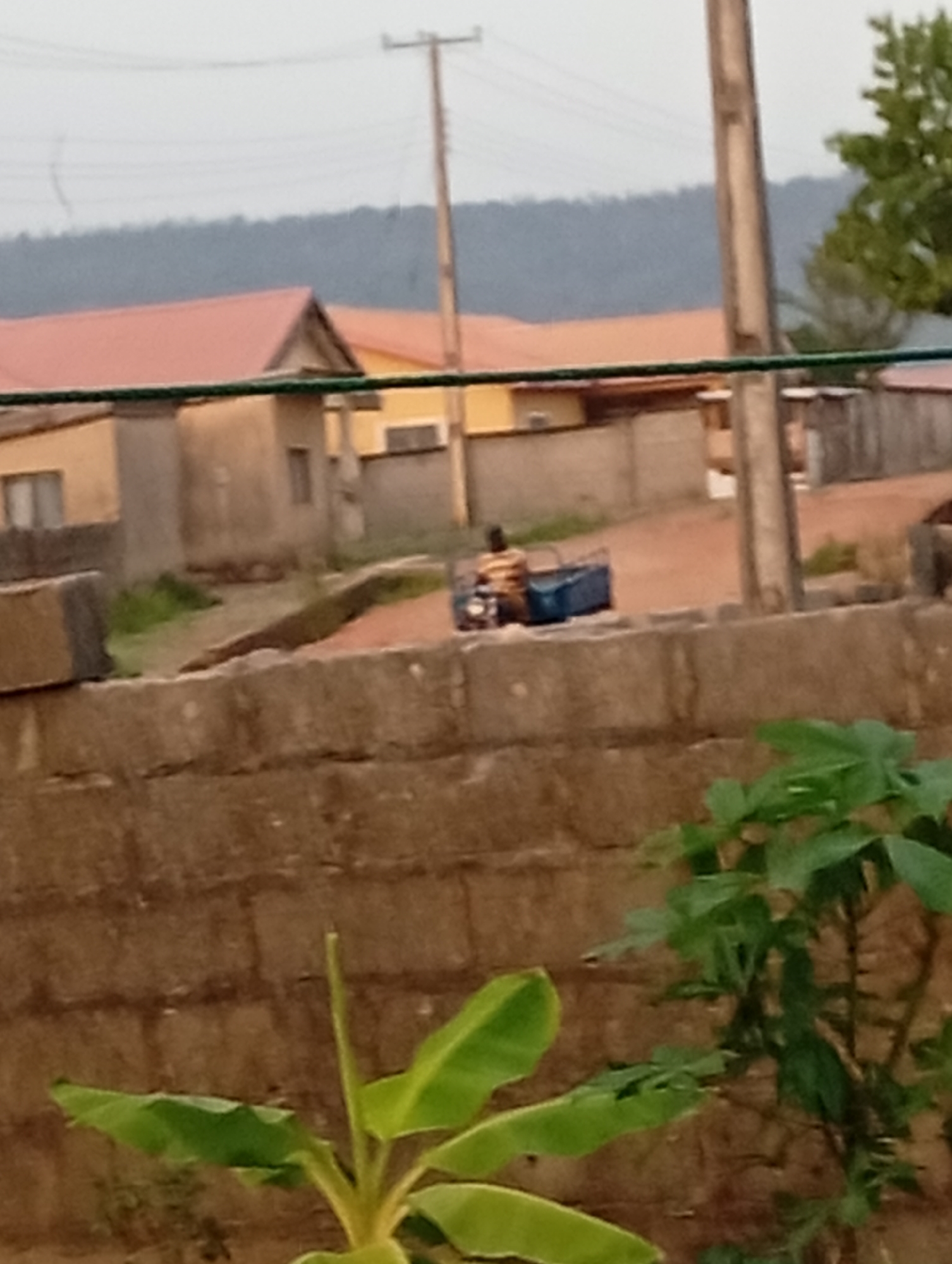 The scene depicts a street in Adankolo, Nigeria. A man is riding a motorized tricycle with a blue cargo bed on a dirt road. The road is lined with buildings, some with red roofs. A utility pole is visible in the background. A brick wall and greenery are in the foreground, partially obstructing the view of the street. The sky is overcast.