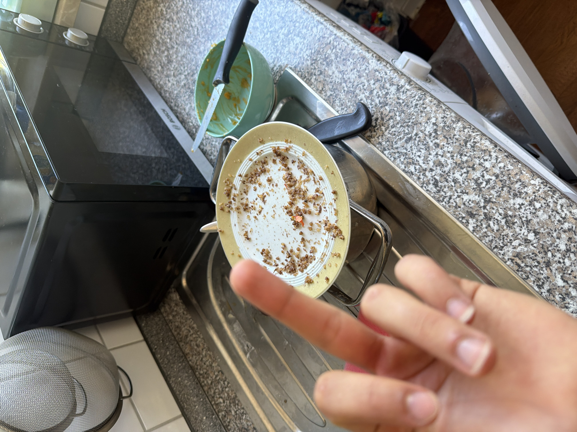 The image shows a kitchen sink area. A dirty plate with food remnants sits on a drying rack in the sink. Next to it, a green bowl contains leftover food and a knife. A microwave is visible in the background. A hand, with fingers extended in a gesture, is in the foreground, partially obscuring the sink. The scene appears to be in a domestic setting, possibly Nienburg/Weser, Germany, based on the context provided by the user. The lighting suggests it is daytime.