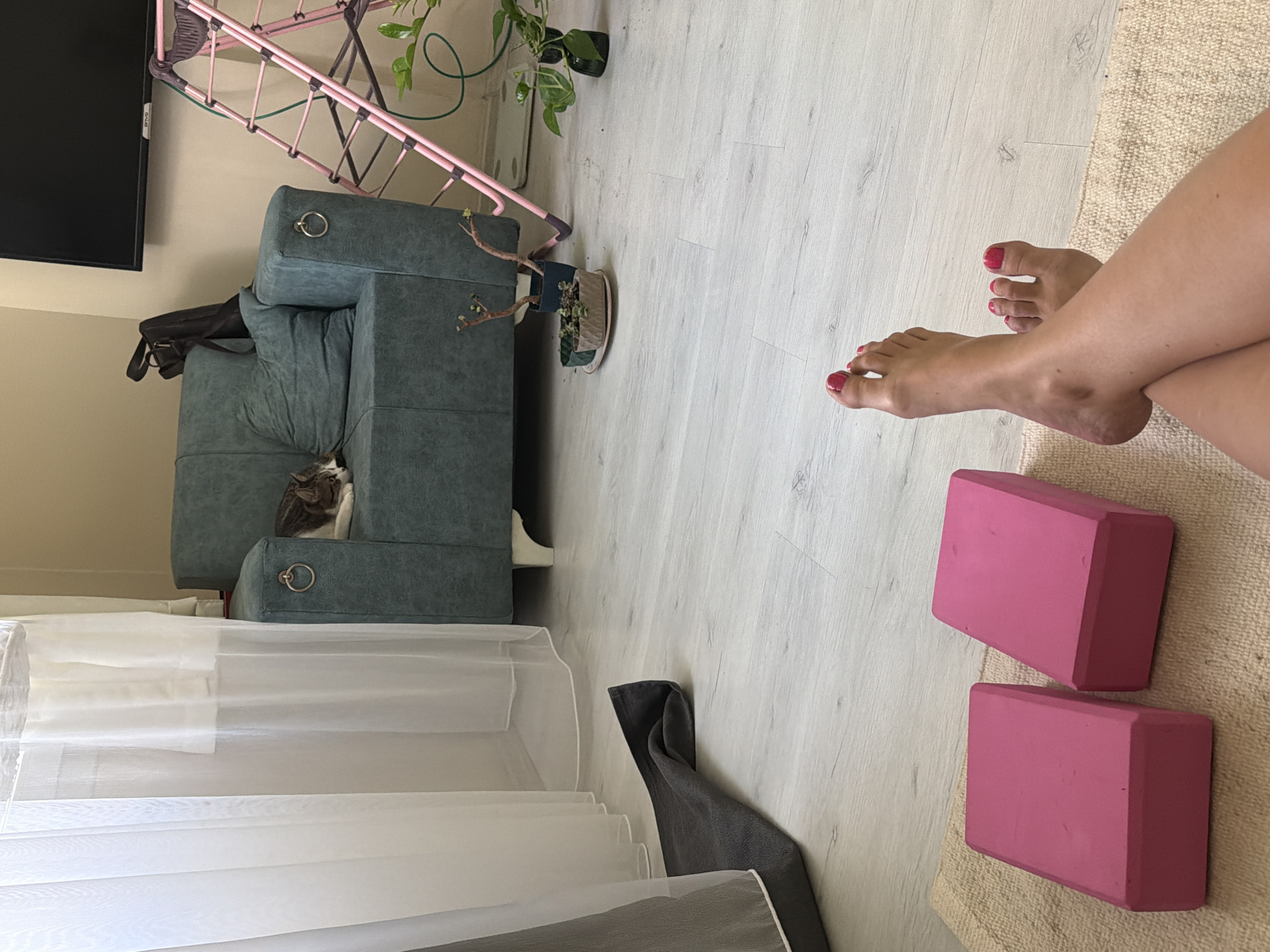 In a room in İzmir, Turkey, a low-angle shot captures a yoga mat on a light-colored wooden floor. Two pink yoga blocks rest on the mat. In the foreground, a person's legs and feet are visible, with toenails painted a bright red. The person's feet are crossed at the ankles. To the left, a dark gray towel is draped over the edge of the mat. In the background, a teal armchair is positioned near a sheer white curtain. A cat is sleeping on the armchair. Further back, a black bag is placed on the armchair, and a pink drying rack stands beside it. A television is mounted on the wall above the drying rack. Several potted plants are scattered around the floor.