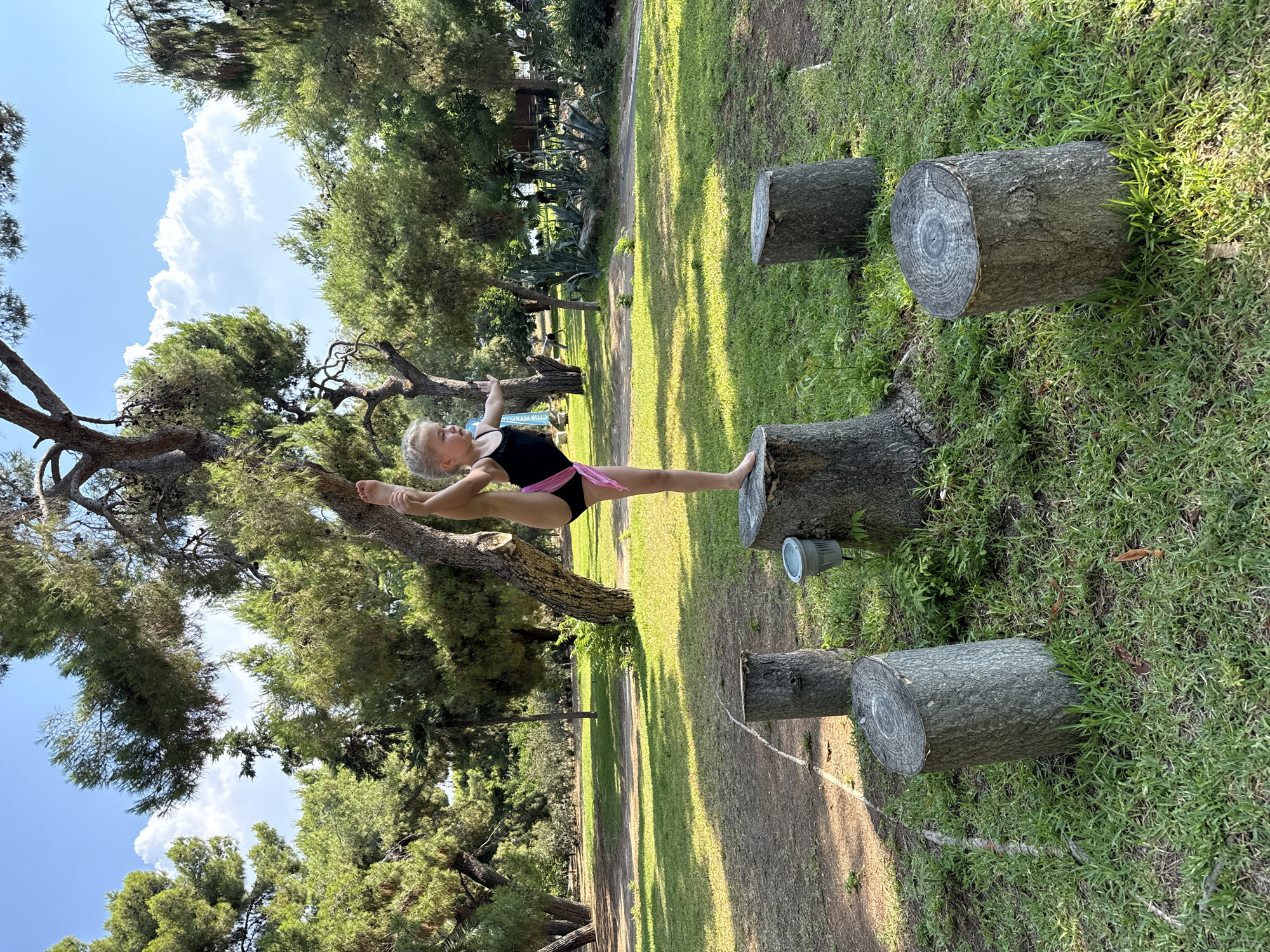 A young blonde girl in a black leotard with pink trim performs a vertical split on top of a tree stump in a park. She stands with her left leg extended upwards, her right leg supporting her on the stump. Her arms are outstretched for balance. The girl is barefoot. Several other tree stumps are arranged around her. The ground is covered in grass and dirt, with fallen leaves. Tall trees with green foliage surround the area, casting dappled sunlight. In the background, there are more trees and some distant structures. A small gray bucket is visible on the stump to the girl's left. The scene appears to be set in the Municipal Unit of Loutraki - Perachora, Greece, with the characteristic Mediterranean vegetation.