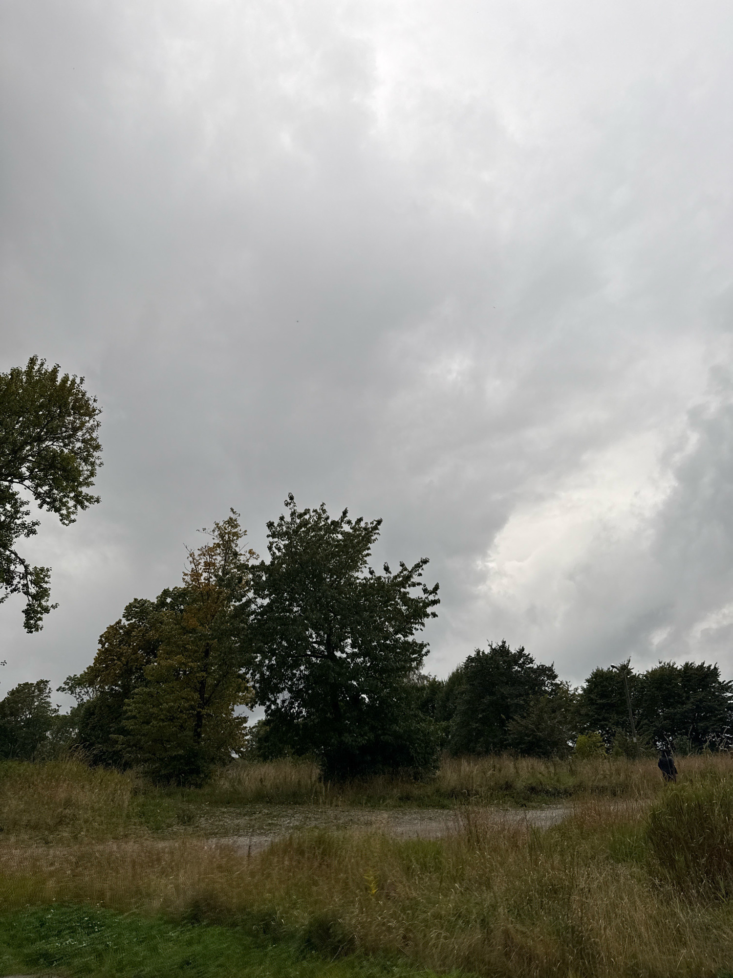 The image depicts an outdoor scene under a cloudy sky, likely in Tallinn, Estonia, given the context. In the foreground, tall, dry grass and some greener patches suggest an uncultivated or park-like area. A dirt path runs horizontally across the middle ground, separating the grassy foreground from the treeline behind it. Several trees of varying sizes and foliage colors, some with hints of autumn hues, form a dense backdrop. In the far right of the middle ground, a lone figure dressed in dark clothing stands near a lamppost, their posture suggesting they are observing the surroundings. The overall atmosphere is somber and overcast, typical of autumn weather.