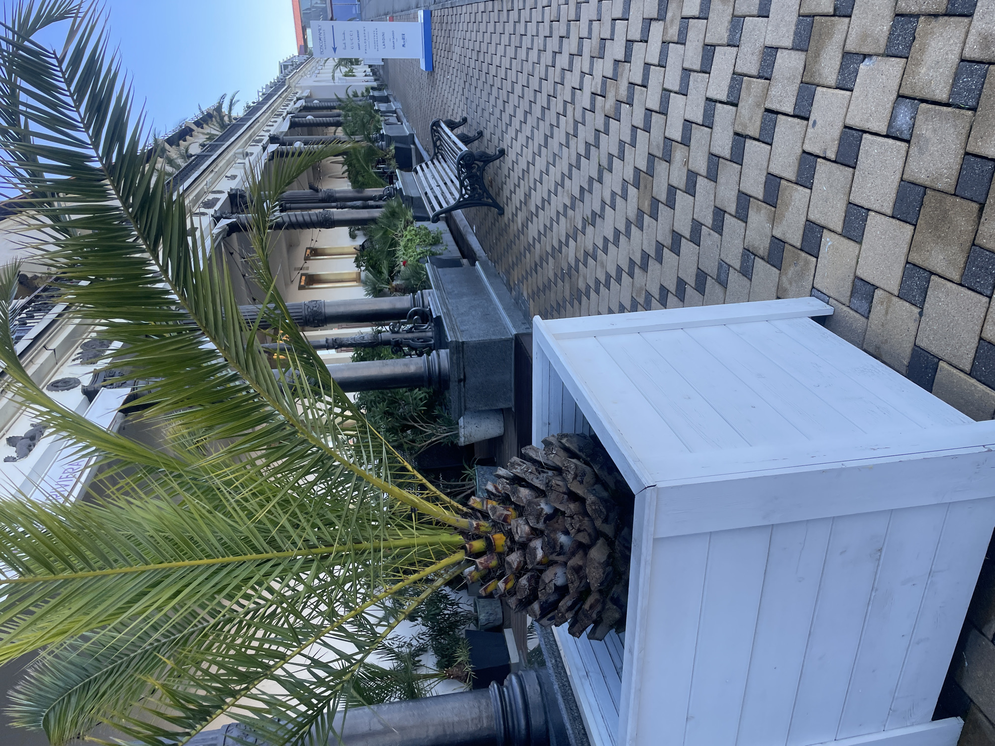 This image depicts a sunny outdoor scene, likely a pedestrian street or promenade, lined with upscale shops and Mediterranean-style flora. The photo is taken from a low angle, looking upwards and along the path.
In the immediate foreground, a vibrant green palm tree is housed in a large, white, slatted wooden planter. Its long fronds extend across the frame, with the fibrous base of the tree visible within the planter. The ground features an intricate pavement pattern composed of alternating light grey and dark grey rectangular blocks, creating a distinct diagonal or zig-zag design.
Further into the scene, a classic black wrought-iron park bench with wooden slats is positioned beside the paved path. Along the left side of the street, an elegant building with classical architectural elements is prominent. It features multiple stories, a white facade, dark ornate columns, and decorative balconies, with various potted plants and shrubs lining its base.
A tall, white signpost stands near the building, displaying a list of designer brands in black text. Visible names include "Paul Smith," "GUCCI," "SAINT LAURENT," "PHILOSOPHY," "CORNELIANI," "LANVIN," "LARINI," "GIAN MARIO," and "RIVIERA," with "MORE" at the bottom. Another blue sign, partially visible, has text that appears to be "RODCOM***LY".
The clear blue sky and bright lighting indicate a daytime setting with fair weather. The presence of palm trees and high-end brands suggests a resort or upscale shopping area, consistent with the context of Sochi, Russia. No people or specific activities are visible, contributing to a tranquil ambiance.