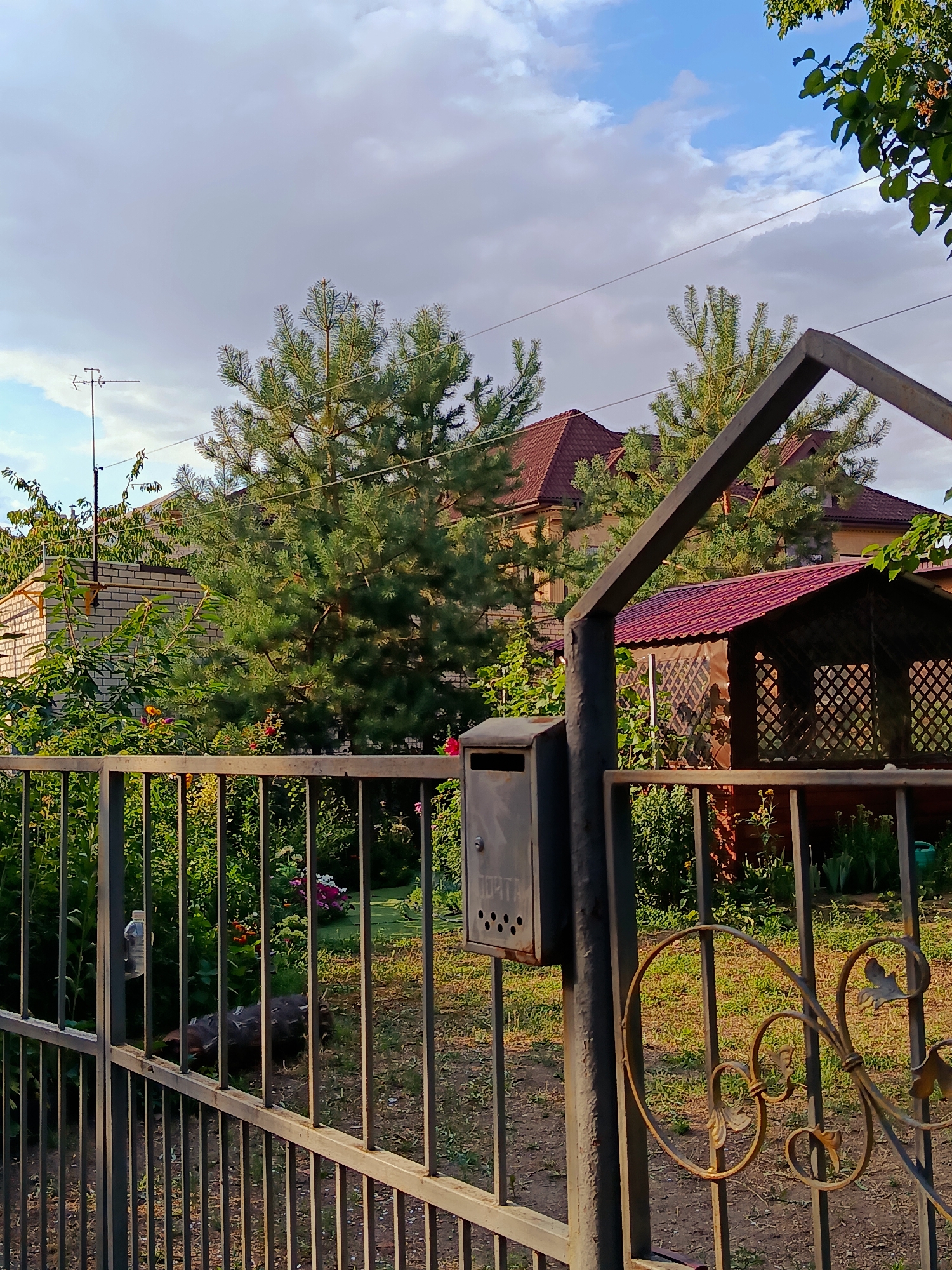 A frontal, eye-level shot captures a residential yard in what appears to be a suburban or rural setting. In the foreground, a dark gray metal gate with ornate scrollwork stands closed, partially obscuring the view beyond. Attached to the gatepost is a gray metal mailbox with the word "ПОЧТА" (meaning "MAIL" in Russian) embossed on its front and a series of small holes below it.
Beyond the gate, a lush green garden is visible, featuring dense foliage, flowers in shades of pink and yellow, and some leafy green plants. Two chickens, one appearing dark brown and the other lighter brown and white, are foraging in the grass near the gate. In the middle ground, a small, open-sided wooden gazebo with a dark red roof is situated amongst the greenery. Behind the garden and gazebo, a multi-story house with a dark red tiled roof and light-colored walls is visible. Two tall pine trees are prominent in the yard, one to the left and one to the right of the house. The sky above is a mix of blue and white clouds, suggesting a pleasant day. An antenna is visible on a pole to the left of the house.