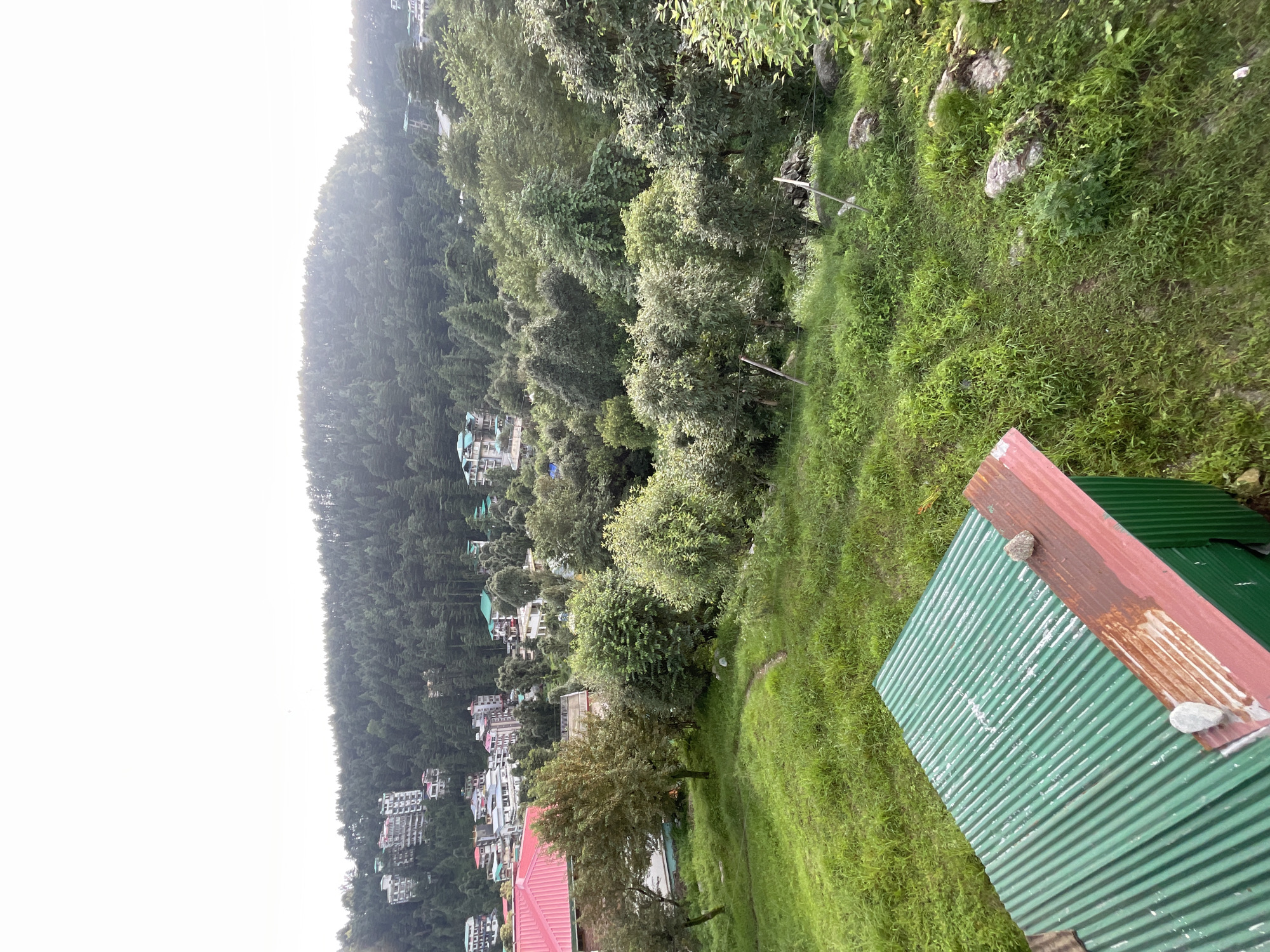 The image depicts a view of Bhagsu, India, characterized by lush green hills dotted with buildings and dense coniferous forests. In the foreground, a corrugated green metal roof of a structure is visible, with two small stones placed on a rusty red edge. Beyond this structure, a grassy slope leads down to a path, and further into the scene, a cluster of trees and buildings can be seen. The middle ground reveals more foliage and scattered residential buildings. The background is dominated by a dense forest covering a hillside, with a bright, overcast sky overhead. The overall scene conveys a sense of a hillside settlement nestled amidst natural greenery.
