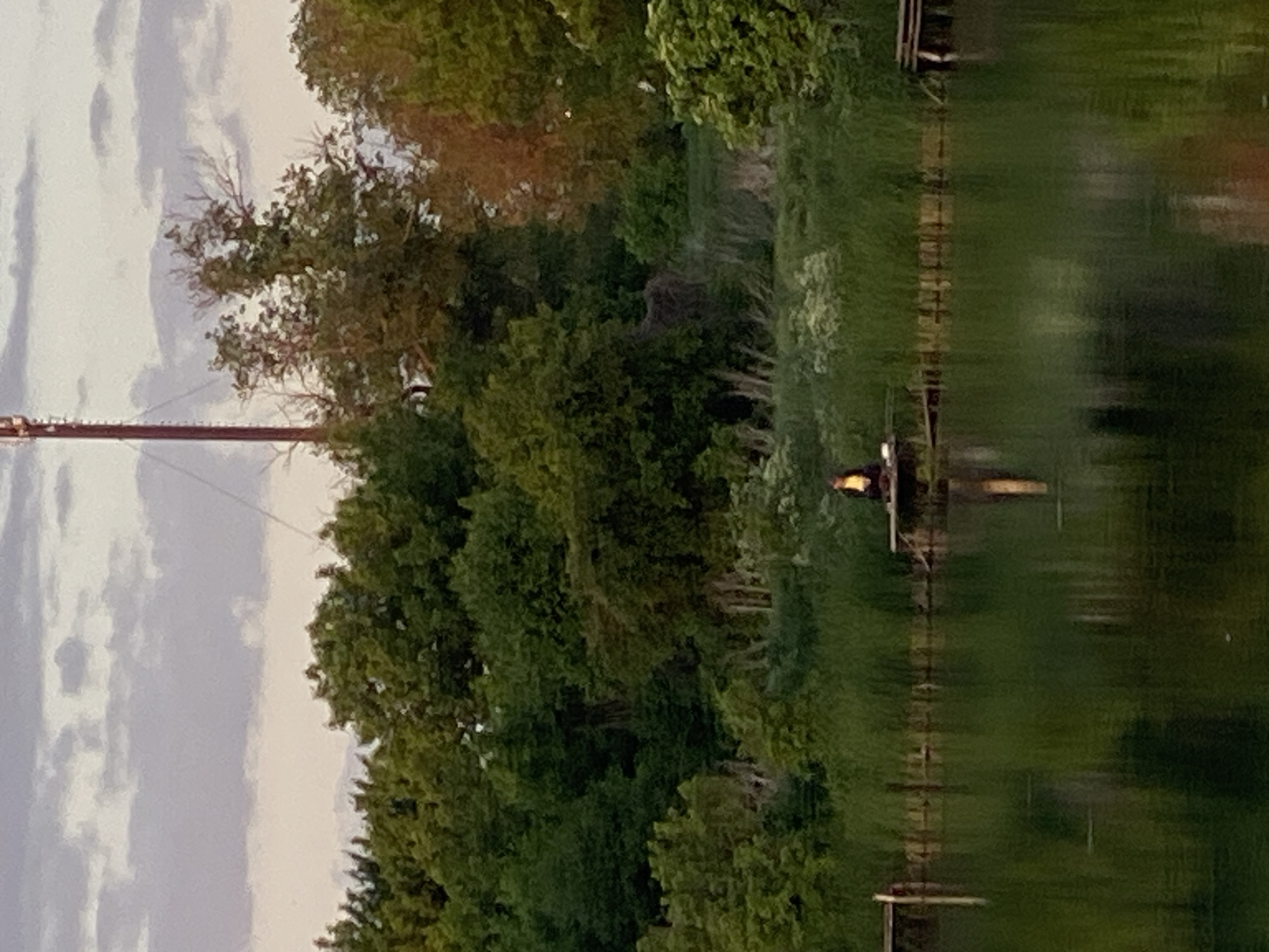 A landscape scene features water reflecting foliage, likely near Ustyvytsia, Ukraine. A wooden structure is situated by the water's edge. A tall tower is visible in the distance. The sky is overcast.