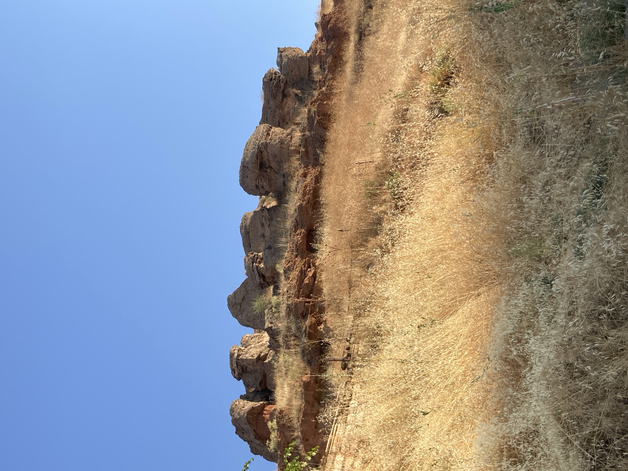 This image captures a rugged, arid landscape near Avanos, Turkey, under a clear blue sky. The foreground is dominated by dry, golden grasses and vegetation, suggesting a warm, dry climate. A low, weathered stone wall is partially visible amidst the grass, hinting at past human activity or agricultural terracing.
Rising above the dry vegetation is a steep hillside composed of reddish-brown earth and rock formations. These formations are weathered and eroded, with several distinct, rounded rock outcrops forming a jagged line across the upper portion of the hill. Some of these rocks show evidence of darker, more consolidated layers beneath the reddish outer surface. Sparse, dry vegetation clings to the slopes and among the rocks.
The overall impression is one of natural erosion and the hardy flora that can survive in such conditions. The scene is devoid of people or any obvious signs of recent human presence, emphasizing the natural and somewhat wild character of the location. The lighting suggests it is either early morning or late afternoon, with the sun casting soft shadows on the landscape.