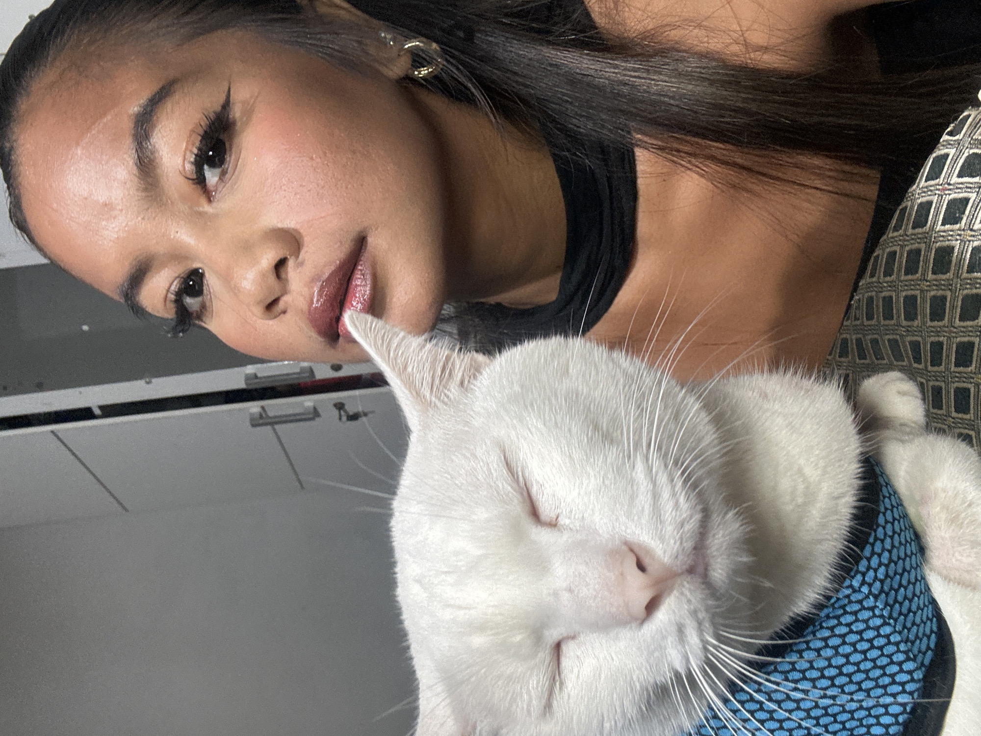 A woman with long dark hair is seen close-up, looking towards the camera with her face near a white cat. The cat is wearing a blue harness and has its eyes closed. The woman is wearing dark eye makeup, lip gloss, and a black top, and a gold hoop earring is visible. Behind the woman, there appears to be part of a white cabinet. The backdrop includes part of an upholstered cushion. The location, North Jakarta, Indonesia, is not discernible from the image.