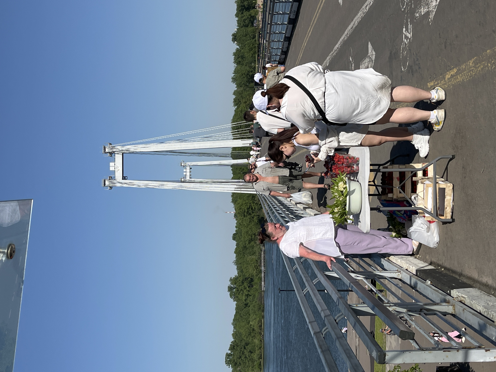 The image captures an outdoor scene on a sunny day, likely taking place on a pedestrian or mixed-use cable-stayed bridge over a wide river, with a lush green treeline visible on the far bank. The sky is clear and blue, indicating bright, favorable weather conditions.
In the foreground and midground, several people are gathered around a makeshift stall or display set up directly on the bridge's roadway. The stall holds containers overflowing with fresh red berries, possibly strawberries or raspberries, and bouquets of white flowers. A woman wearing a white top and light purple pants leans casually on the bridge railing, looking out towards the river and trees. Behind the stall, another woman in a white dress or tunic and a white cap is bending over the table, examining the produce. She has dark hair and a black strap from a bag slung across her body. Another person, partially visible, also in white, is next to her. A man in a khaki shirt and shorts stands near the stall, facing the customers. White shopping bags and wooden crates are visible around the stall.
Further down the bridge, more people are visible, many dressed in light-colored clothing, suggesting they might be part of an organized event or activity. The bridge itself features prominent white pylons and cables, characteristic of a cable-stayed design. The asphalt surface of the bridge has white painted road markings, including a clear bicycle symbol. The scene gives the impression of a vibrant, temporary market or a community gathering on a scenic bridge. The time of day appears to be bright daylight. No specific text is clearly legible in the image, apart from the bicycle symbol on the road. The location is Krasnoyarsk, Russia.
