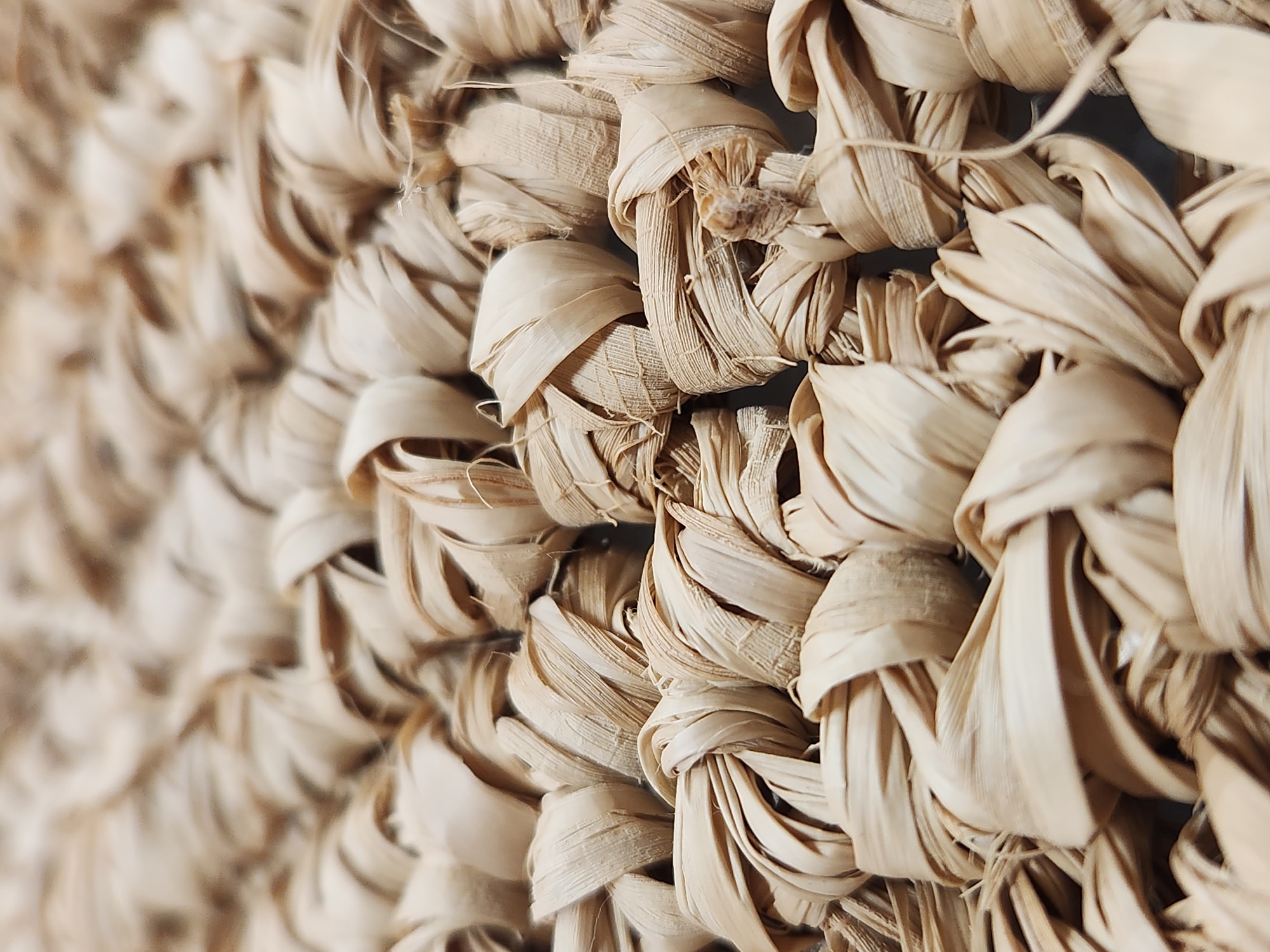 The image displays a close-up, overhead view of a woven material made from dried plant fibers. The fibers are light brown in color and are intricately tied and knotted, creating a textured, three-dimensional surface. The weaving pattern is dense and appears to be made of individual bundles of fibers that are then woven together. The lighting creates shadows that highlight the depth and texture of the material. The scene is static, with no people or actions depicted. There is no indication of a specific location within the city of Maitland, United States of America.