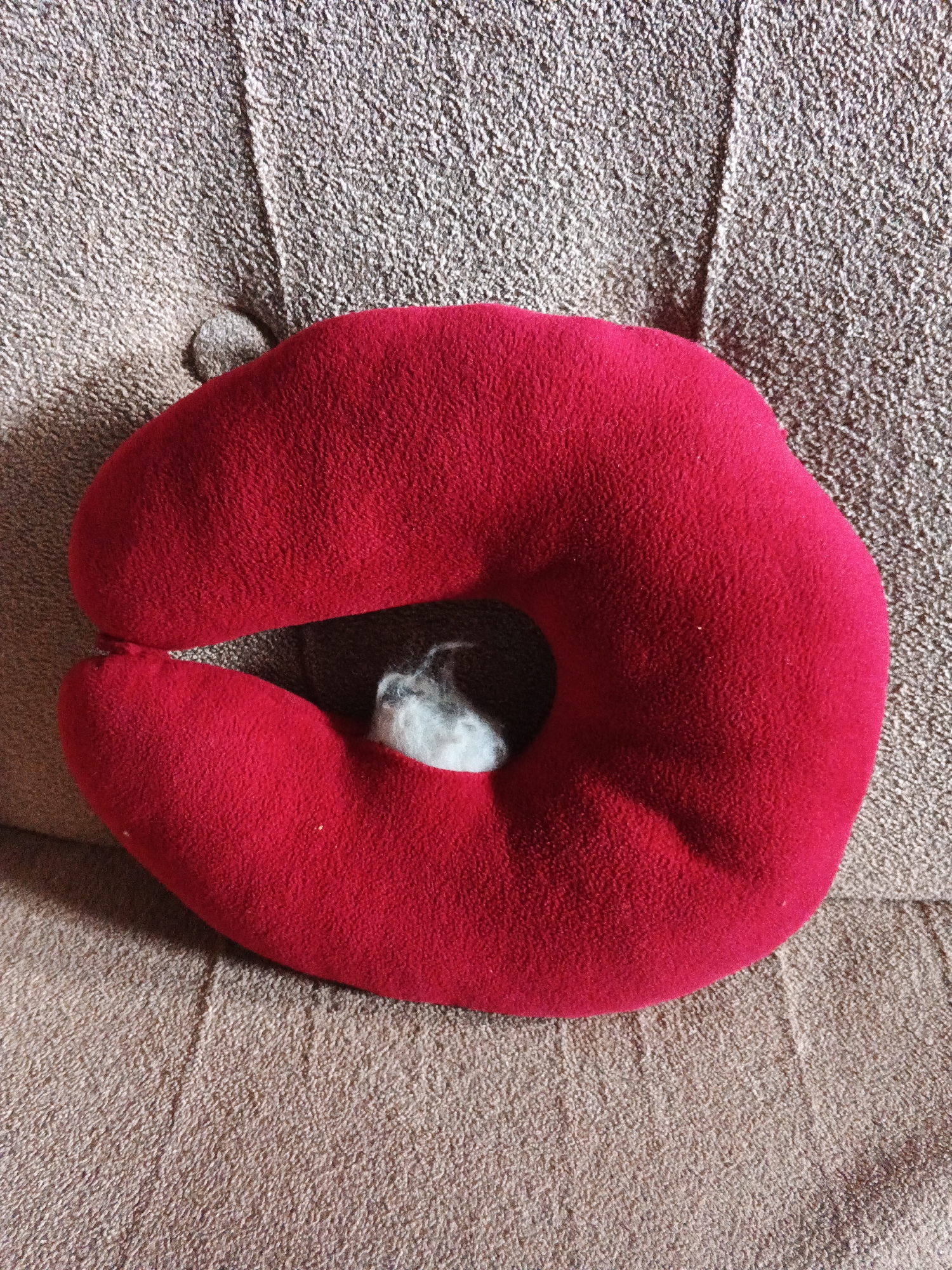 A red neck pillow is resting on a textured, light brown fabric surface. The pillow has a U-shape and is made of a soft material. Inside the opening of the pillow, a small clump of white and gray material is visible. The fabric surface appears to be upholstery, possibly a sofa or chair, with a subtle pattern of raised threads. The lighting suggests an indoor environment.