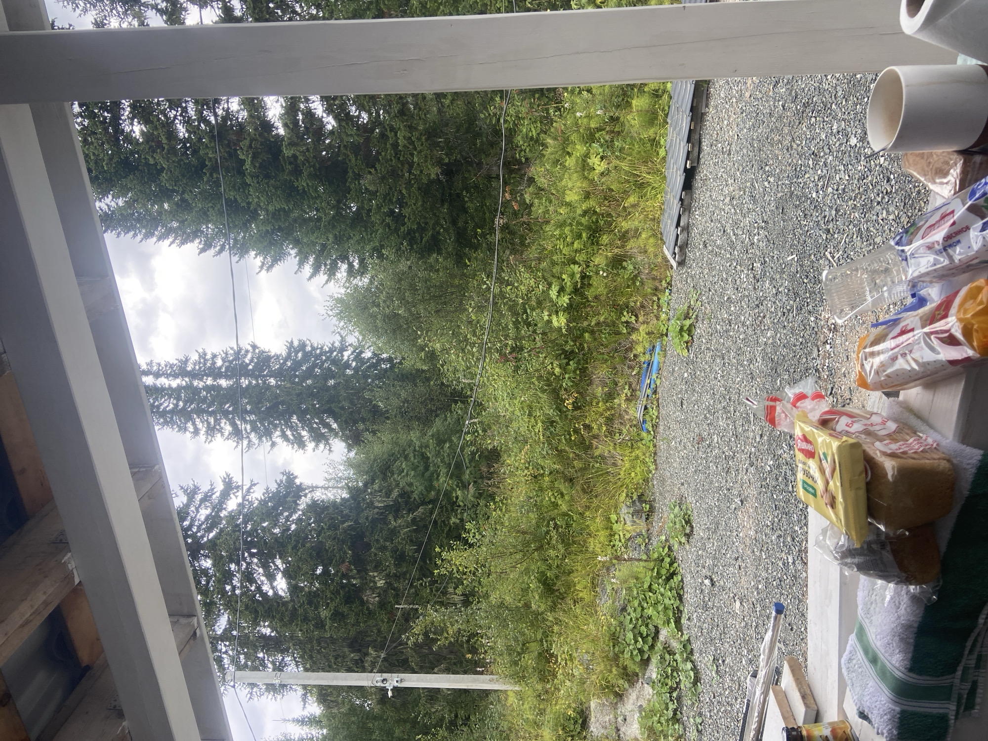 The image captures a view from a covered outdoor area, possibly a porch or veranda, looking out towards a dense, natural environment. In the foreground, on a white surface, there are several items arranged. These include a stack of towels, a loaf of bread wrapped in plastic, a yellow rectangular package which appears to be butter, and other plastic-wrapped food items and containers. To the left, a roll of paper towels is partially visible, and a white ceramic mug sits to the right.
The background reveals a natural landscape dominated by a thick forest of tall evergreen trees, characteristic of a northern climate. The ground in the middle distance is covered with grey gravel, with patches of green vegetation and some scattered rocks. In the far background, there is a cloudy sky. A utility pole with wires is visible on the left side of the image. The overall scene suggests a rustic setting, possibly in a remote area. Given the information provided, this scene is located in Sheregesh, Russia, which is known for its dense forests and mountainous terrain, often associated with outdoor activities and natural beauty.