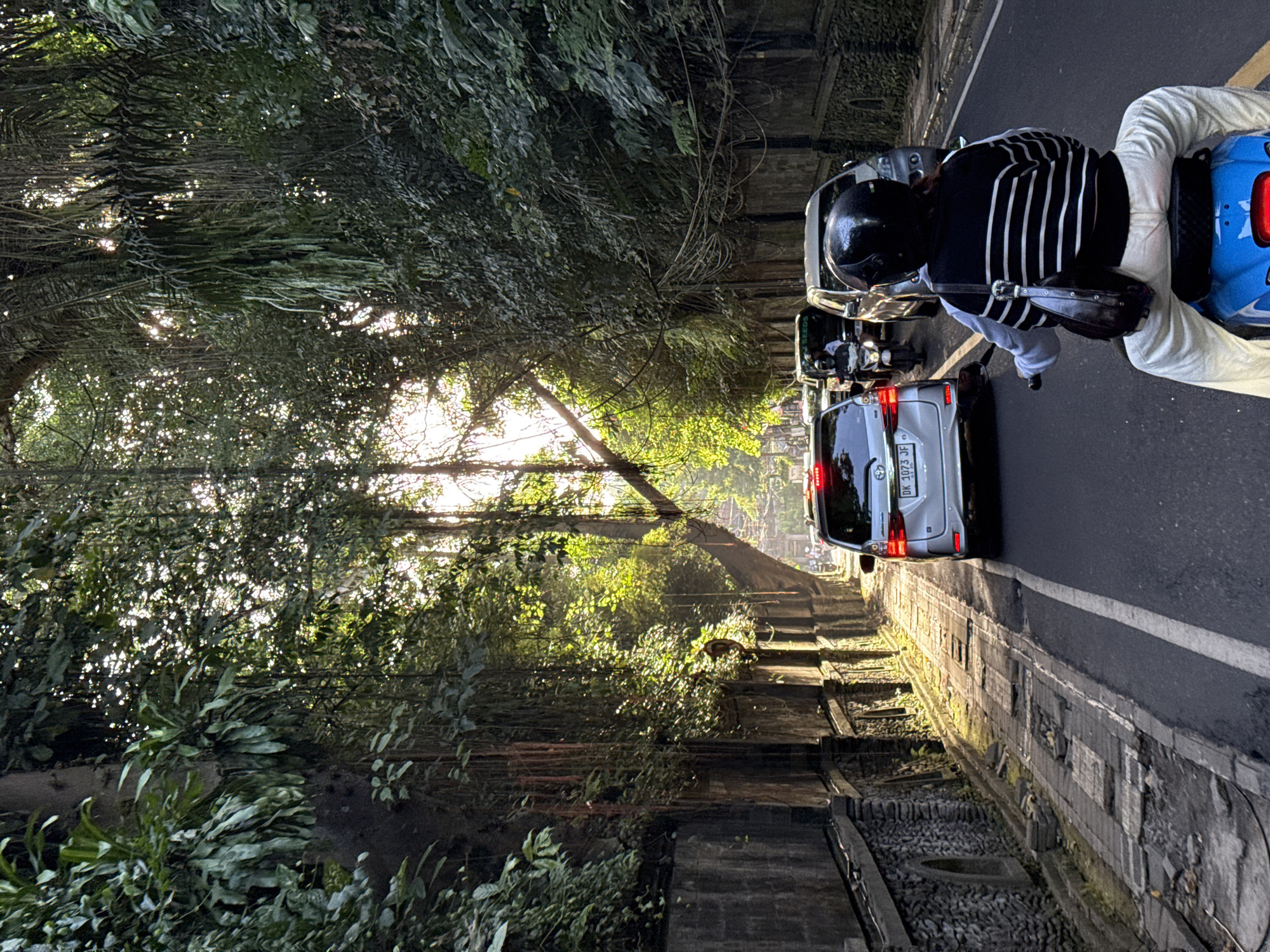 A sunlit road in Ubud District, Indonesia, is the scene of a photograph. On the right side of the road, a person on a blue scooter is wearing white pants, a black and white striped shirt, and a black helmet. Several cars are also on the road; the license plate of the first one is DK 1073 JF. On the left side of the road is dense greenery. The sunlight illuminates the entire setting.