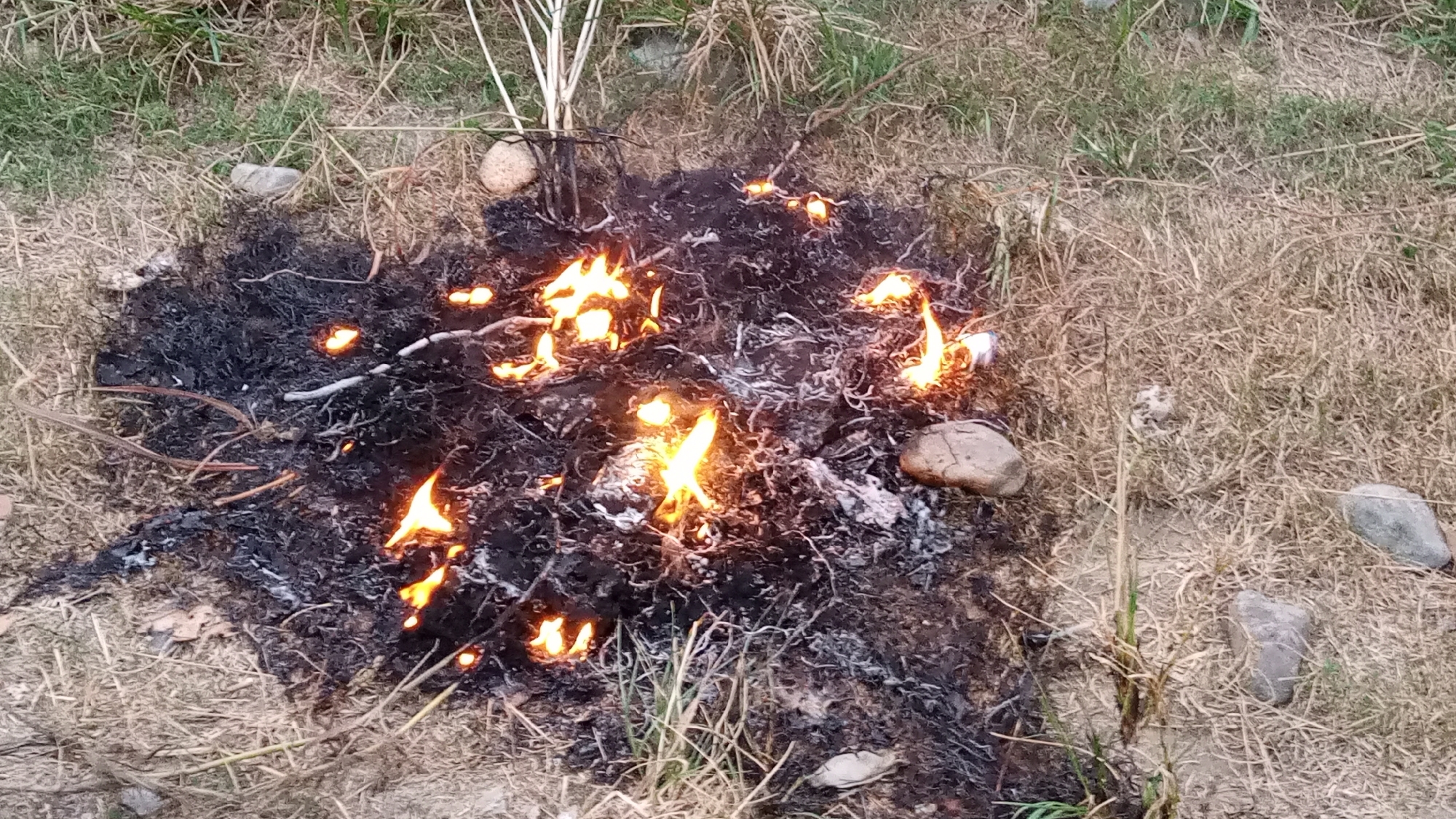 The image depicts a small, controlled burn in a grassy, outdoor environment, likely in Uteunbunta, Indonesia. The burn area is characterized by a pile of dark ash and embers, interspersed with small, flickering flames. Dry, brown grass and sparse green vegetation surround the burn site, with several stones of varying sizes scattered around the perimeter. In the background, taller, dried plant stalks are visible. There are no people or animals present in the image. The scene suggests the burning of dead plant material, possibly for land management or waste disposal.