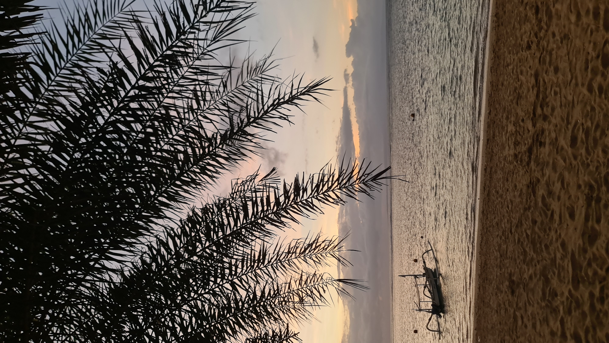 This image depicts a serene beach scene at sunset in Denpasar, Indonesia. The foreground is dominated by a sandy beach, leading to the calm ocean. A traditional Indonesian outrigger boat, locally known as a "prahu," is anchored offshore, its silhouette contrasting with the gentle waves. Palm fronds hang from the top of the frame, creating a natural canopy and framing the sunset sky. The sky itself is a canvas of soft hues, transitioning from warm oranges and pinks near the horizon to pale blues overhead, with scattered clouds adding texture. The overall atmosphere is tranquil and picturesque, characteristic of a tropical evening.