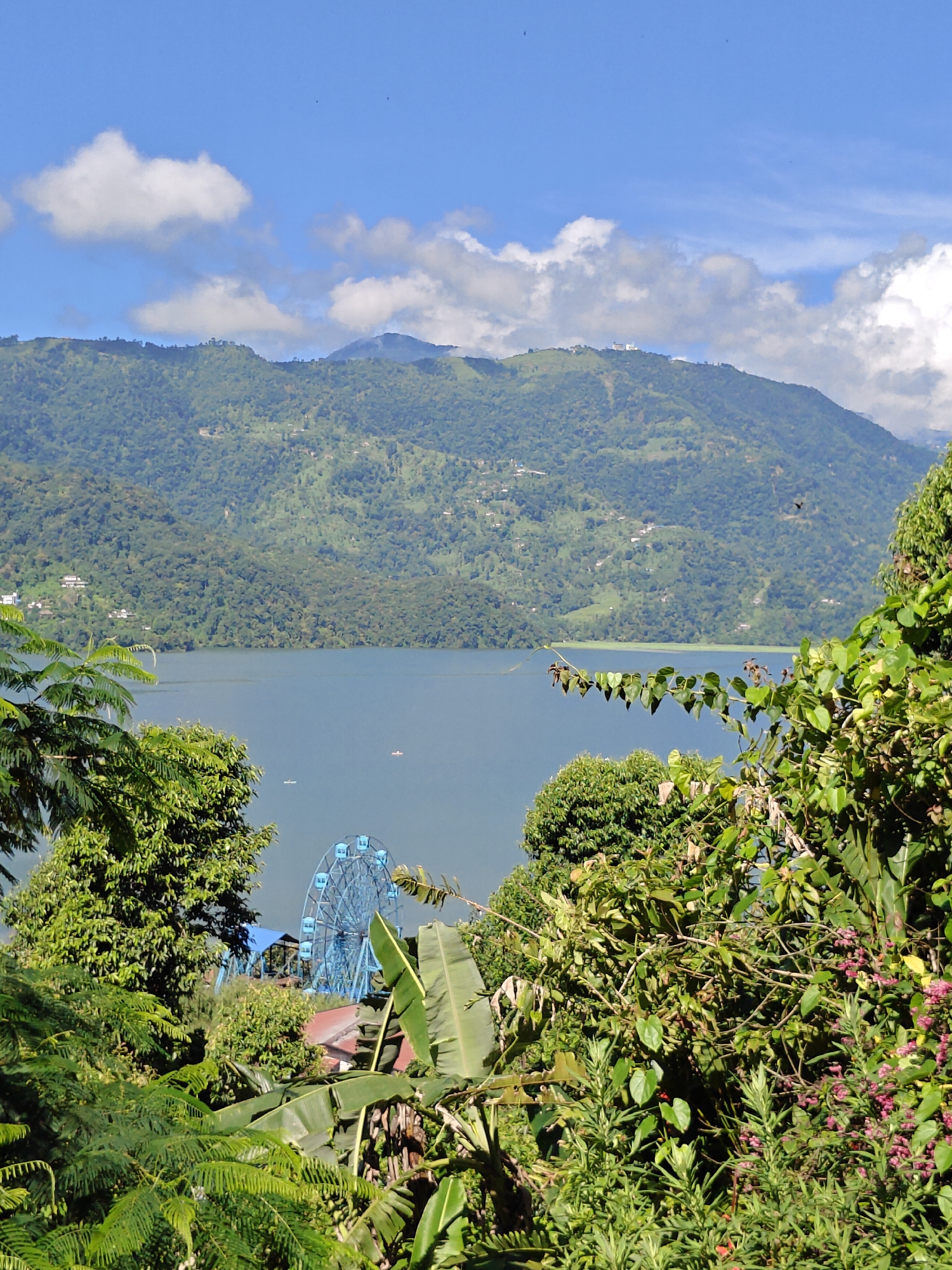 The image depicts a scenic view of a lake surrounded by lush green hills under a bright blue sky dotted with white clouds. In the foreground, dense foliage with large green leaves and smaller flowering plants partially obscures the view. A bright blue Ferris wheel is visible in the middle ground, suggesting a recreational area. Several small boats are scattered across the calm, blue water of the lake. The background is dominated by rolling hills covered in dense vegetation, with some scattered buildings visible on the slopes. The overall scene conveys a sense of natural beauty and tranquility with a touch of amusement park presence. This location is likely Phewa Lake in Pokhara, Nepal, a popular tourist destination known for its natural scenery and recreational activities.