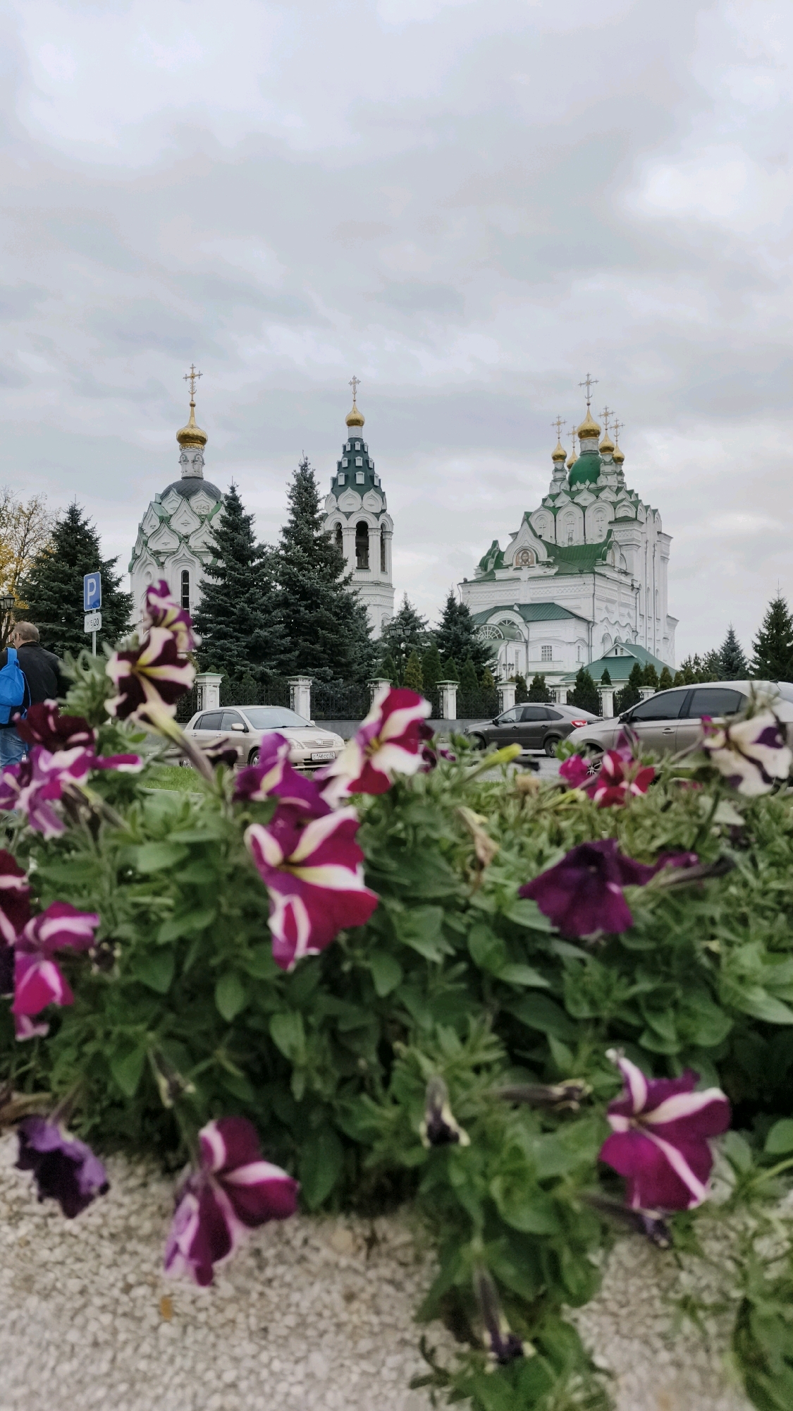 The image depicts the National Art Gallery in Yoshkar-Ola, Russia, with its distinctive Neo-Gothic and pseudo-Russian architectural style. In the foreground, a bed of purple and white petunias is in bloom, their petals blurred by the shallow depth of field, creating a soft focus effect. Behind the flowers, a paved walkway and a street are visible. Several cars are parked and in motion on the street, including a silver sedan and a dark gray sedan. To the left of the image, two individuals, one with a blue backpack, stand near a parking sign. In the background, the National Art Gallery stands prominently, featuring multiple green domes topped with golden crosses. A bell tower, also with a green dome and cross, is adjacent to the main building. The sky is overcast with gray clouds, contributing to a muted color palette for the scene. The overall impression is of a bright, public space on a cloudy day, with the vibrant flowers adding a splash of color to the architectural grandeur of the gallery.