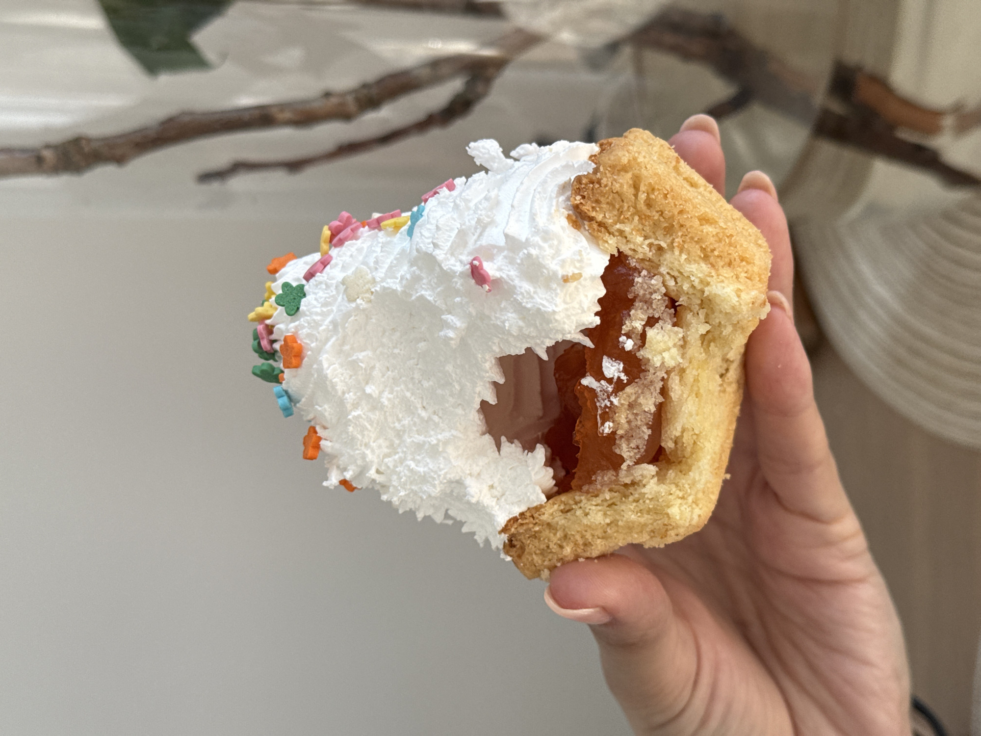 The image presents a close-up view of a hand holding a partially eaten dessert, likely a small pie or cupcake. The dessert features a golden-brown, baked crust, which appears crumbly and sweet. Exposed by the bite, an amber-colored, translucent filling is visible, suggestive of fruit jam or marmalade, with hints of granulated sugar crystals on its surface. A generous topping of soft, white whipped cream or frosting covers the dessert, adorned with an assortment of colorful sprinkles. These sprinkles are shaped like small flowers, stars, and dots, in vibrant hues of pink, green, yellow, orange, and blue.
The hand holding the treat displays neatly manicured nails with a natural, light-toned polish. The background is softly blurred, showcasing a light grey or beige wall in the immediate distance. Further into the background, abstract, dark brown, branch-like shapes are discernible, possibly from a decorative element or plant, alongside a lighter, potentially reflective or patterned surface. The lighting is diffused and even, indicating an indoor setting. While the location context is Perm, Russia, the visual elements in the image do not provide specific geographical cues to this location. The image captures a moment of indulgence, focusing on the texture and detail of the sweet treat. No visible text is present.