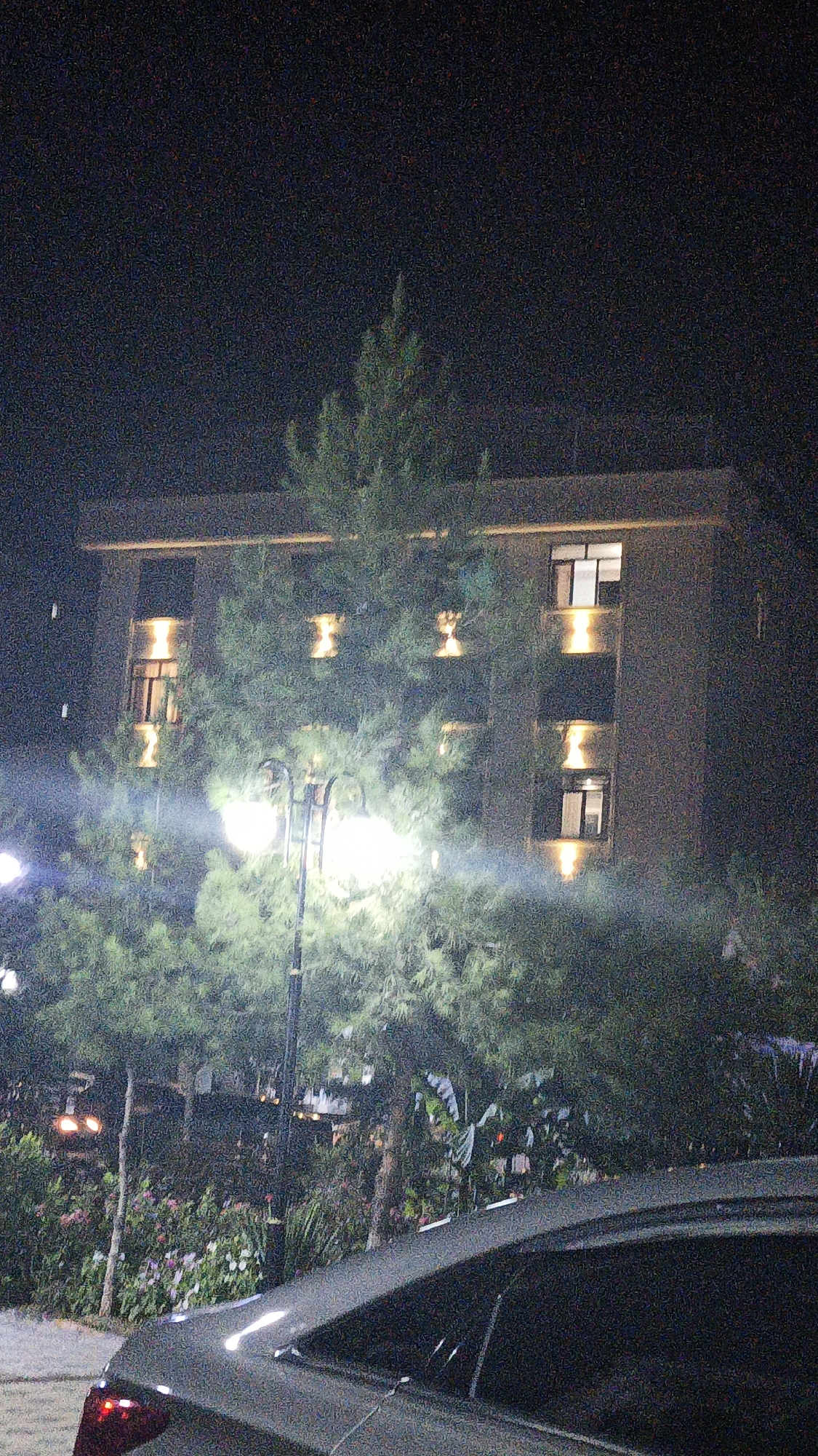 A nighttime exterior shot taken in Vahdat, Tajikistan, shows a multi-story building with illuminated windows behind a dense cluster of trees and foliage. A streetlamp with multiple bulbs stands in the foreground, casting bright light on the surrounding greenery. A dark-colored car is partially visible in the lower right corner of the frame, with its rear taillight illuminated. The overall scene is dimly lit and features a high level of digital noise, suggesting it was captured in low light conditions.