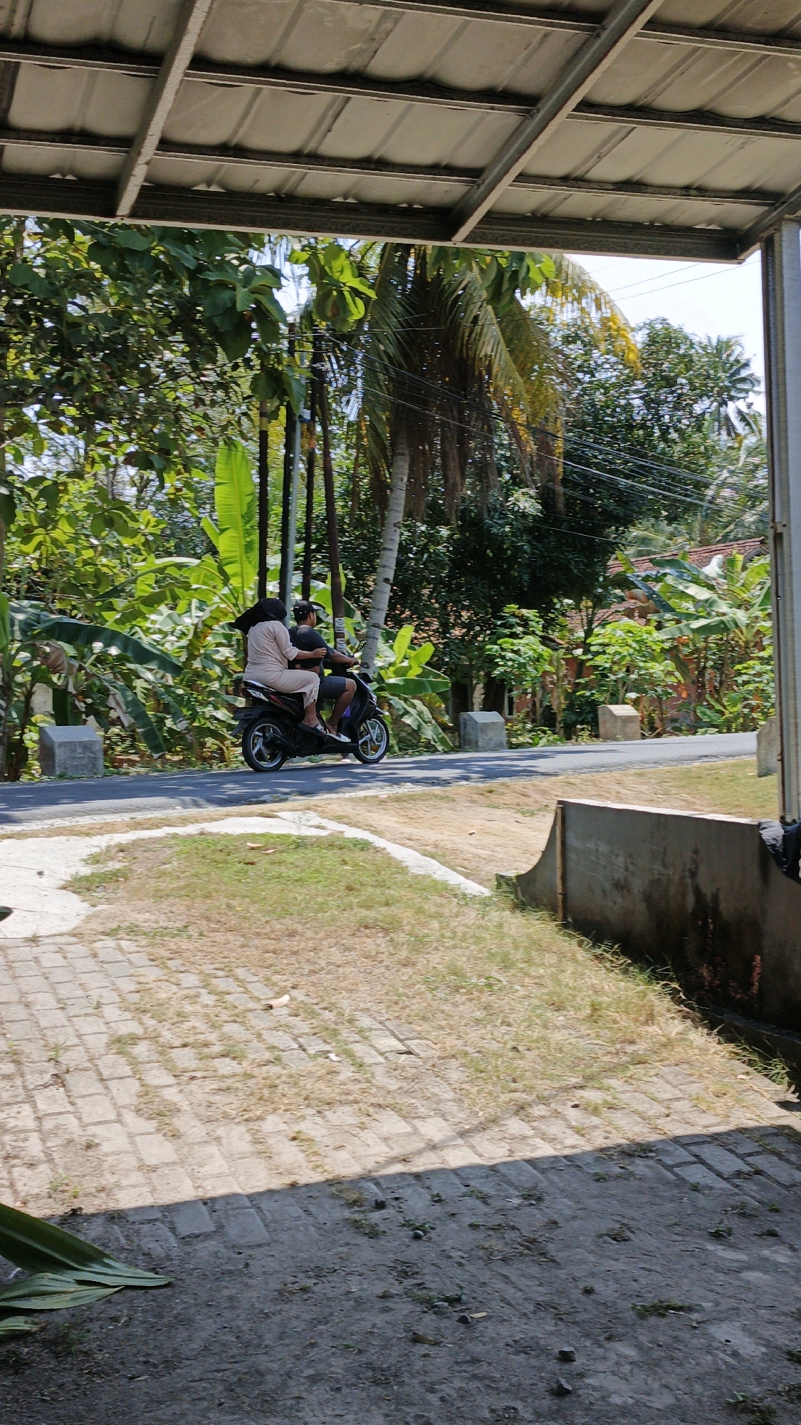 Two individuals are riding a dark-colored scooter on a paved road in a rural area. The person in the back is wearing a light brown hijab and a matching outfit. The person in the front is wearing a dark t-shirt and dark shorts. They are traveling from left to right in the frame. The surroundings are lush and green with numerous trees, including palm trees and banana trees. There are power lines running across the scene. In the foreground, a paved area with brickwork and dry grass is visible, bordered by a concrete structure. The scene appears to be in Cintaratu, Indonesia, given the tropical vegetation and style of housing visible in the background. The lighting suggests it is daytime, likely late morning or early afternoon, with strong sunlight casting shadows.