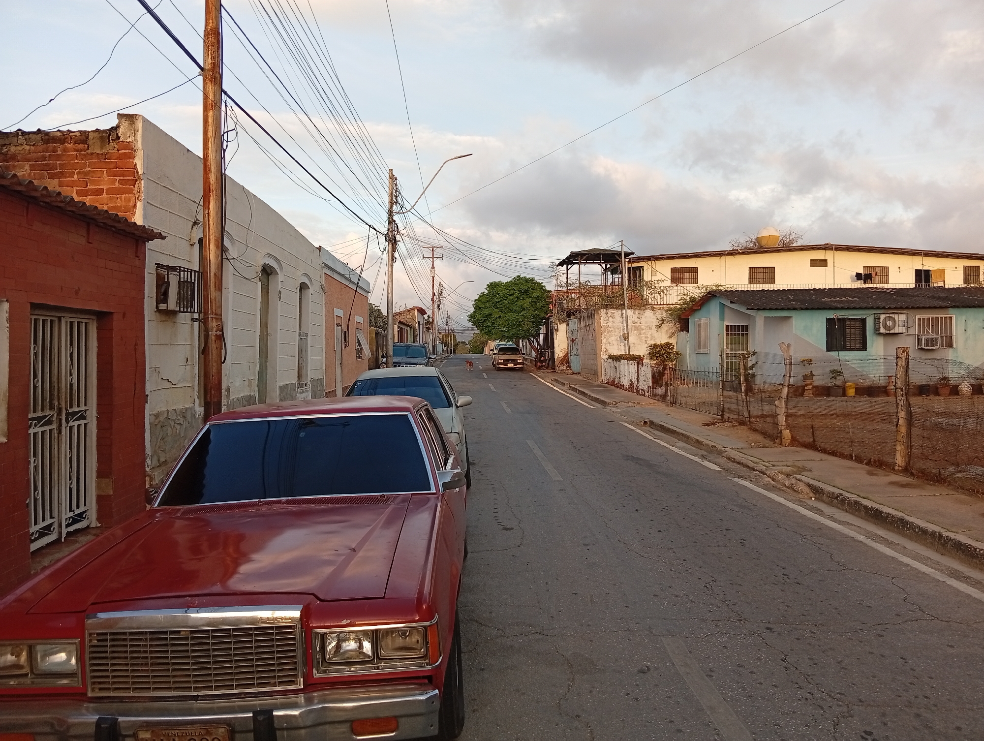 The image shows a street scene in Juan Griego, Venezuela. A red Ford LTD car is parked on the left side of the street, partially blocking the view of a light-colored sedan behind it. The street stretches into the distance, with buildings on both sides. The buildings vary in color and style, ranging from brick to stucco. Overhead, numerous power lines crisscross the sky, creating a web of cables. In the background, a few other vehicles are visible, and what appears to be a dog is standing in the middle of the street. The sky is overcast with clouds, and the overall lighting suggests it's late afternoon or early evening. A fence runs along the right side of the street.
