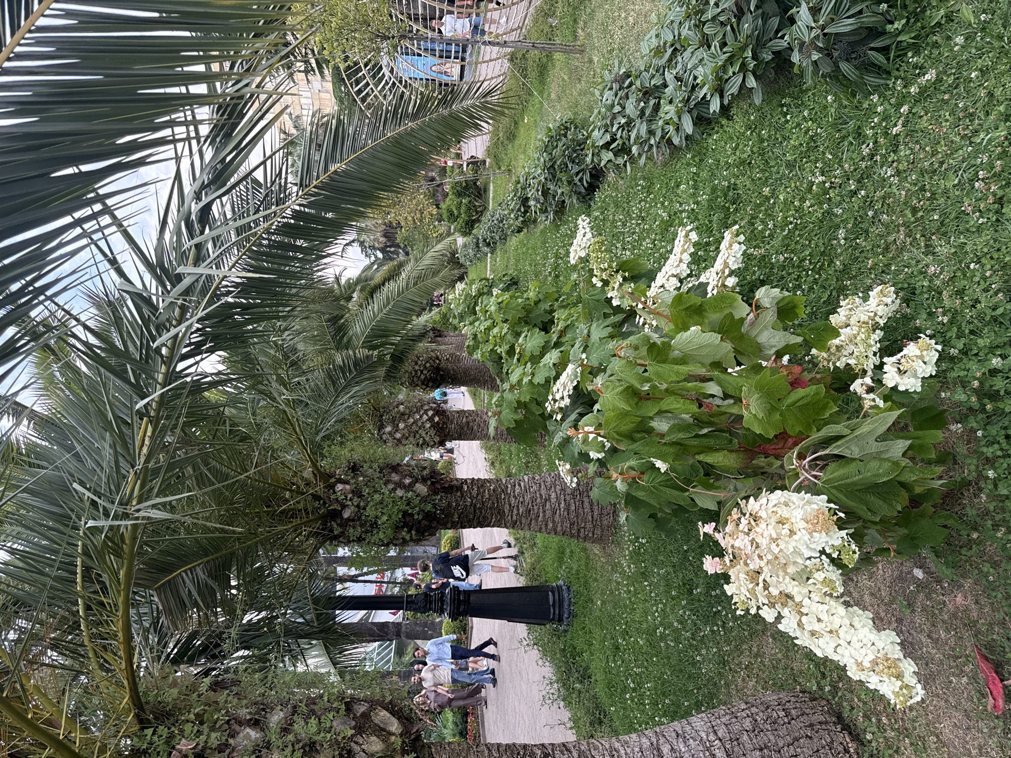 In Sochi, Russia, along a paved park walkway lined with palm trees, a diverse group of individuals stroll. On the left, four people walk together, while further down the path, a young person on a scooter moves away from the camera. A black decorative lamppost stands prominently on the left side of the walkway. Lush green grass and flowering bushes, some with white blooms, border the path. In the background, buildings and more greenery are visible, suggesting a well-maintained urban park environment.