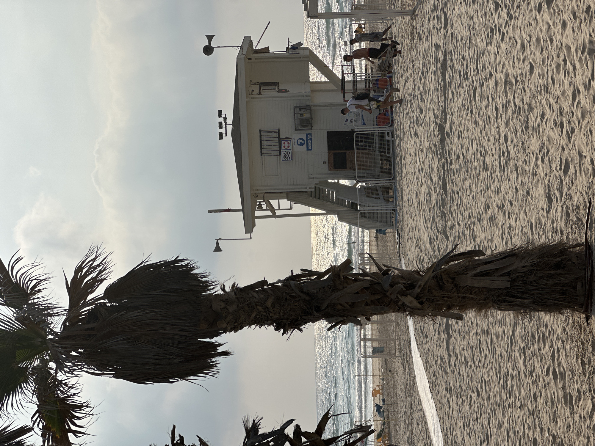 This image depicts a beach scene in Bat Yam, Israel, likely on a sunny day with some cloud cover. In the foreground, a large, weathered palm tree trunk stands prominently. The beach itself is sandy, with visible footprints and subtle undulations in the sand.
In the middle ground, there is a white lifeguard station with a staircase leading up to the platform. The station has various signs and equipment visible, including what appears to be a red flag on a pole, a life preserver, a number "7", and an air conditioning unit. Two men are walking away from the lifeguard station, one carrying a large bag. Another person, possibly a third man, is walking with them, and another person is in the distance near the lifeguard station.
Beyond the lifeguard station is the sea, with waves gently rolling onto the shore. The water reflects the sunlight, creating a shimmering effect. A white fence with posts runs along the edge of the beach, separating it from the lifeguard station and some beach chairs in the background. The overall setting is a public beach, indicated by the presence of the lifeguard station and the organized layout of beach furniture.