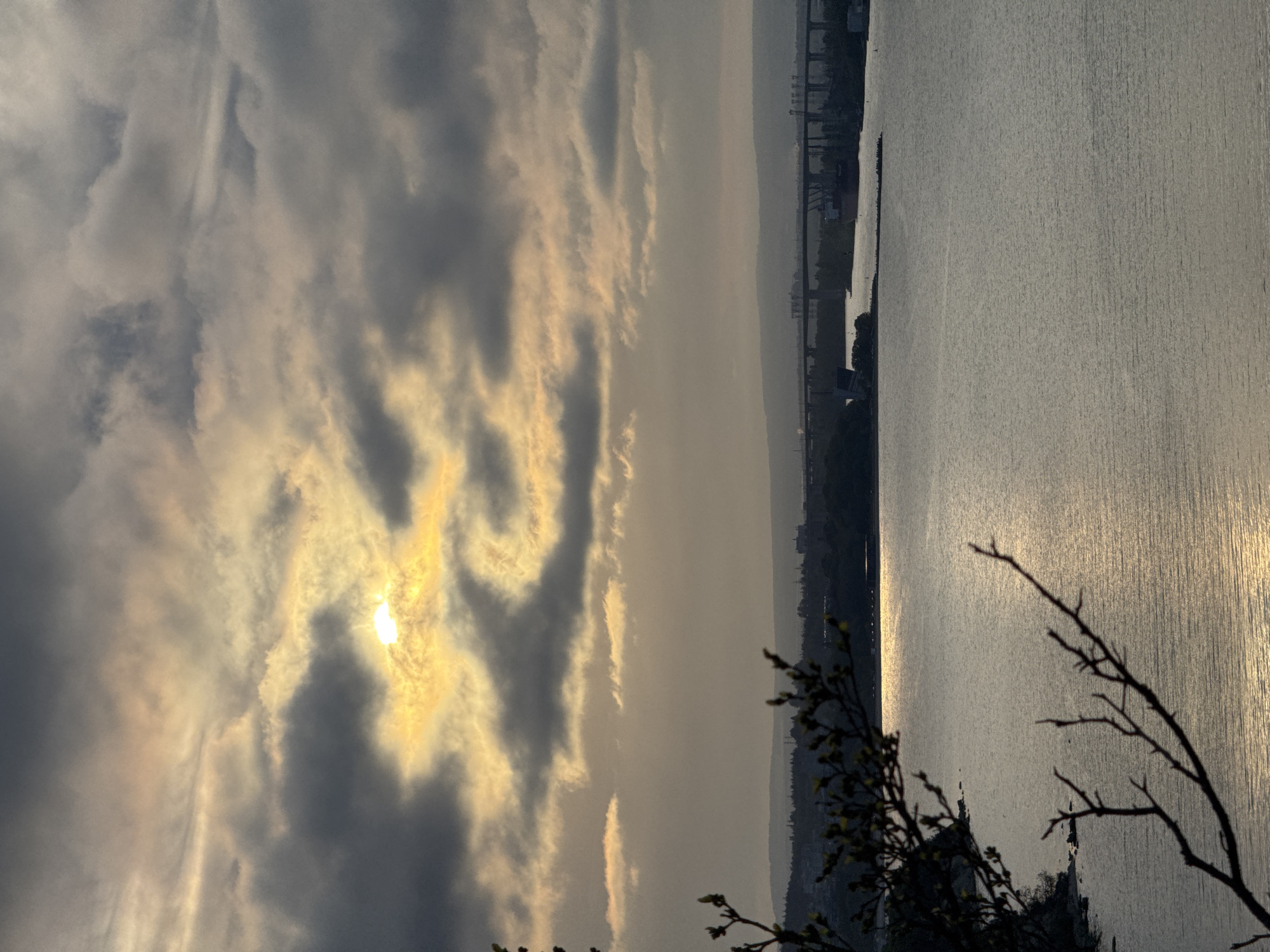 The image shows a landscape overlooking the sea, likely the Black Sea in Varna, Bulgaria. The sun is visible through thick clouds, casting a golden light across the sky and reflecting on the water. A coastline is visible in the distance, with industrial structures or cranes. In the foreground, there are silhouetted branches of a tree or shrub. The orientation of the image is vertical.