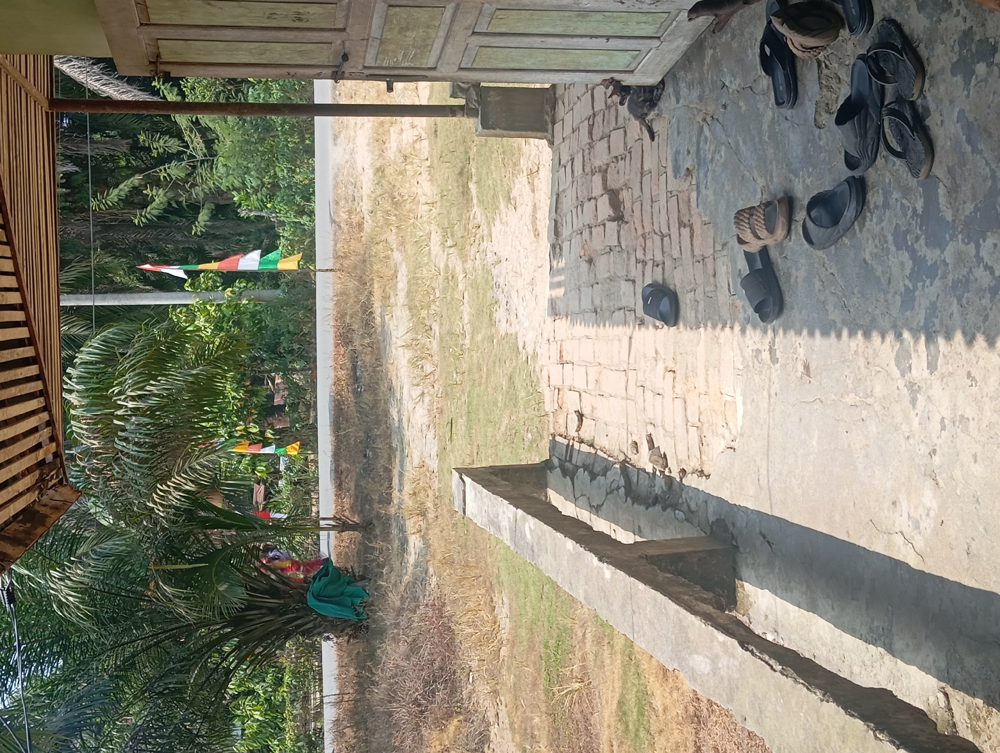 The image shows a view from under a wooden-slatted roof, looking out towards a rural scene. In the foreground, there is a concrete patio with numerous pairs of flip-flops and sandals scattered across it. To the left, a low concrete wall runs along the edge of the patio. In the mid-ground, a dusty path leads away from the house, bordered by dry grass and vegetation. Beyond the path, a road is visible with two flags, red, white, and green, planted on poles. Palm trees and other foliage are abundant in the background, suggesting a tropical or subtropical environment. There are two cats near the doorway, one of which appears to be a kitten. The scene is set in Rejosari, Indonesia.