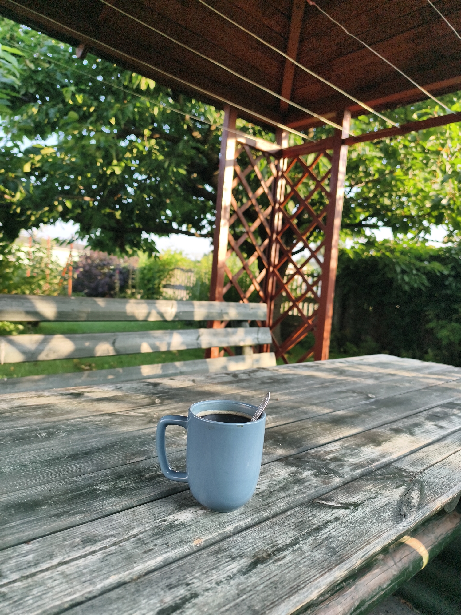 An outdoor image shows a blue mug filled with dark coffee, with a spoon resting inside, on a weathered wooden picnic table. The table is set beneath a wooden pergola with a slatted roof and lattice sides. Behind the table, a wooden bench is visible, and further back, lush green trees and foliage create a natural backdrop. The scene appears to be in a garden or park setting. The city of Tczew, Poland, is not discernible from the visual information provided in the image.