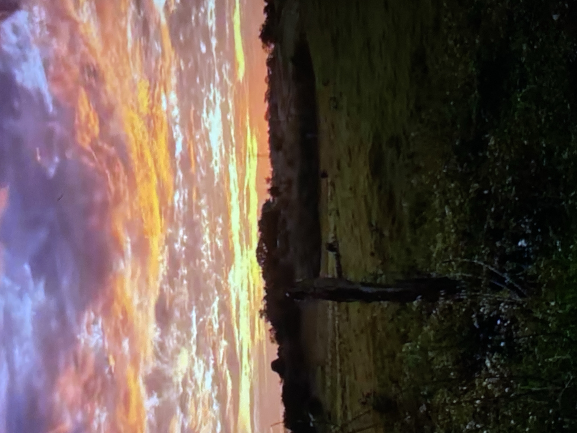 This image captures a rural landscape at either sunrise or sunset, situated in Tinaquillo, Venezuela. The upper two-thirds of the frame are dominated by a dramatic sky featuring stratified and scattered clouds illuminated from below. Colors transition from deep purplish-blue at the top to vibrant orange, red, and yellow across the middle, and lighter yellows near the horizon. A distinct horizon line reveals a dark silhouette of distant trees and low-lying hills. The midground consists of a broad, dark green field or pasture. In the foreground, slightly to the left of the central vertical axis, stands a weathered, dark wooden fence post. The immediate foreground is densely covered with dark green vegetation, including grasses and small plants, some with subtle lighter accents. No human subjects, identifiable animals, or specific actions are visible within the frame.
