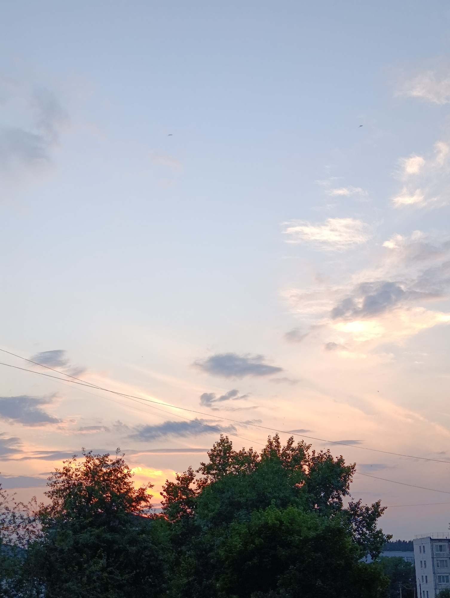 This is an outdoor, daytime, vertical, medium-shot photograph taken in Chaikovsky, Russia, during sunset. The sky is a pale blue, with scattered clouds tinged with orange and pink from the setting sun. Two distant birds are visible flying in the upper portion of the sky. Two power lines stretch horizontally across the mid-section of the frame. Below the sky, the tops of lush green trees fill the lower half of the image. In the far right of the image, a multi-story white building with windows is visible, indicating an urban setting. The scene captures a tranquil sunset over a residential area with a prominent natural element of trees.