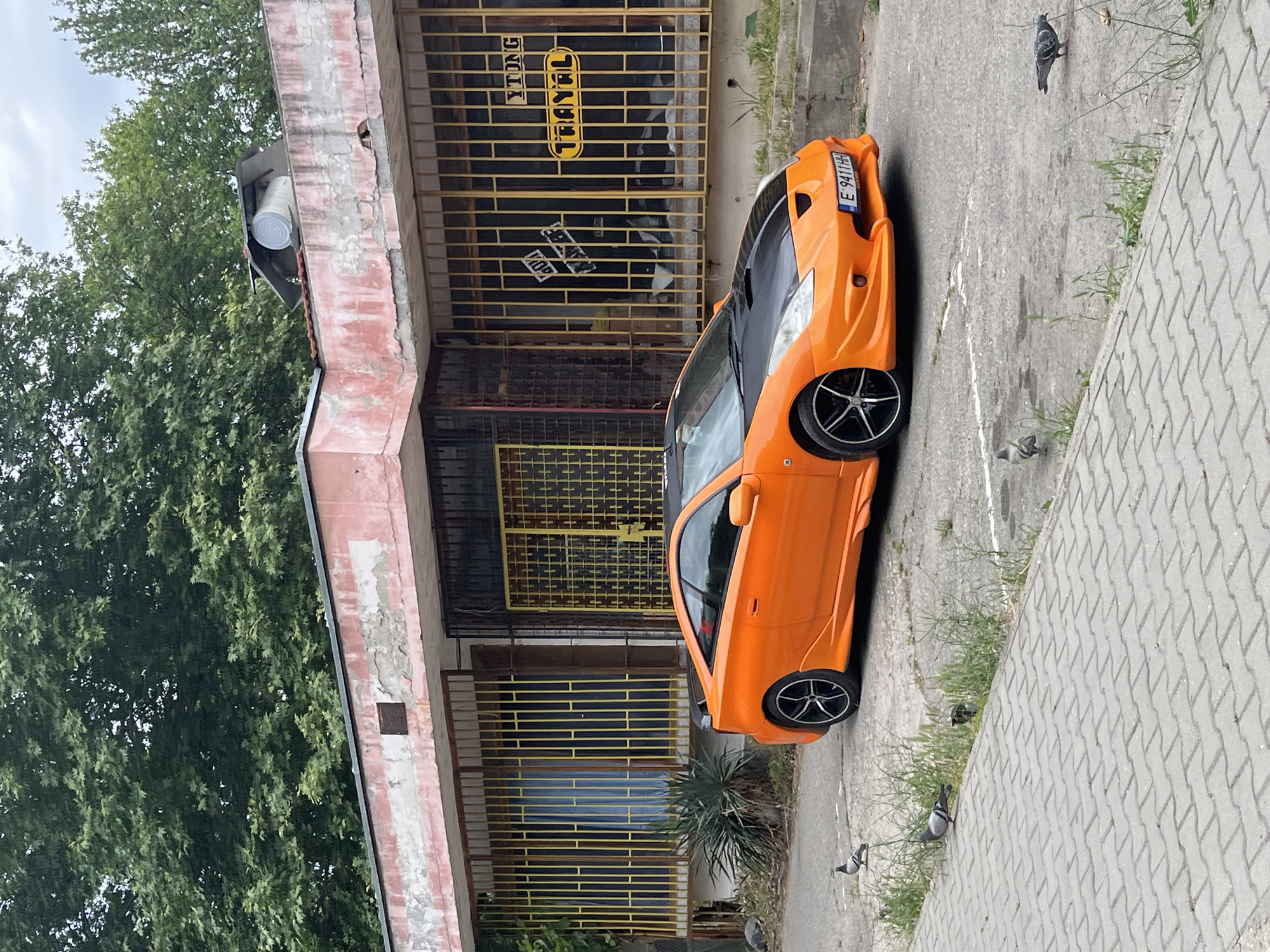 An orange car is parked in front of a building with a metal security gate and the words "YTONG TRAVEL" displayed. The car has a black roof and wheels with a star-shaped design. A European license plate reads "E 9411 HH". The building has a faded, pinkish-red exterior, and a large roll of white material is visible under the eaves. To the left, there are dense green trees. The ground is a mix of concrete, brick, and grassy areas. Several pigeons are scattered around on the ground. The location is likely Blagoevgrad, Bulgaria based on the license plate origin.