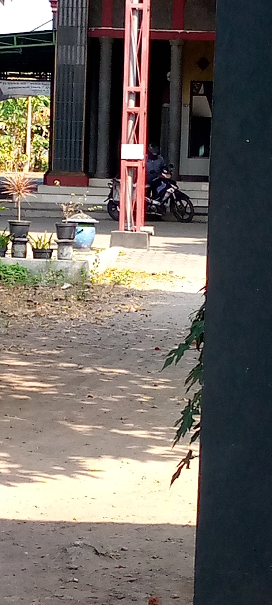 In the foreground of the image, a dirt path with scattered debris and dappled sunlight is visible. To the right, a dark, vertical structure partially obscures the view, with green foliage extending from its base. In the mid-ground, a person wearing a blue shirt and helmet is seated on a black motorcycle. The motorcycle is positioned on a paved area next to a building with columns. Several potted plants are arranged on a tiered platform to the left of the motorcycle. The building itself has a traditional Indonesian architectural style, with a red-and-white metal support structure in front of it. The background shows more of the building and some greenery. The overall setting suggests an outdoor environment in a residential or public area in Sumberwono, Indonesia.