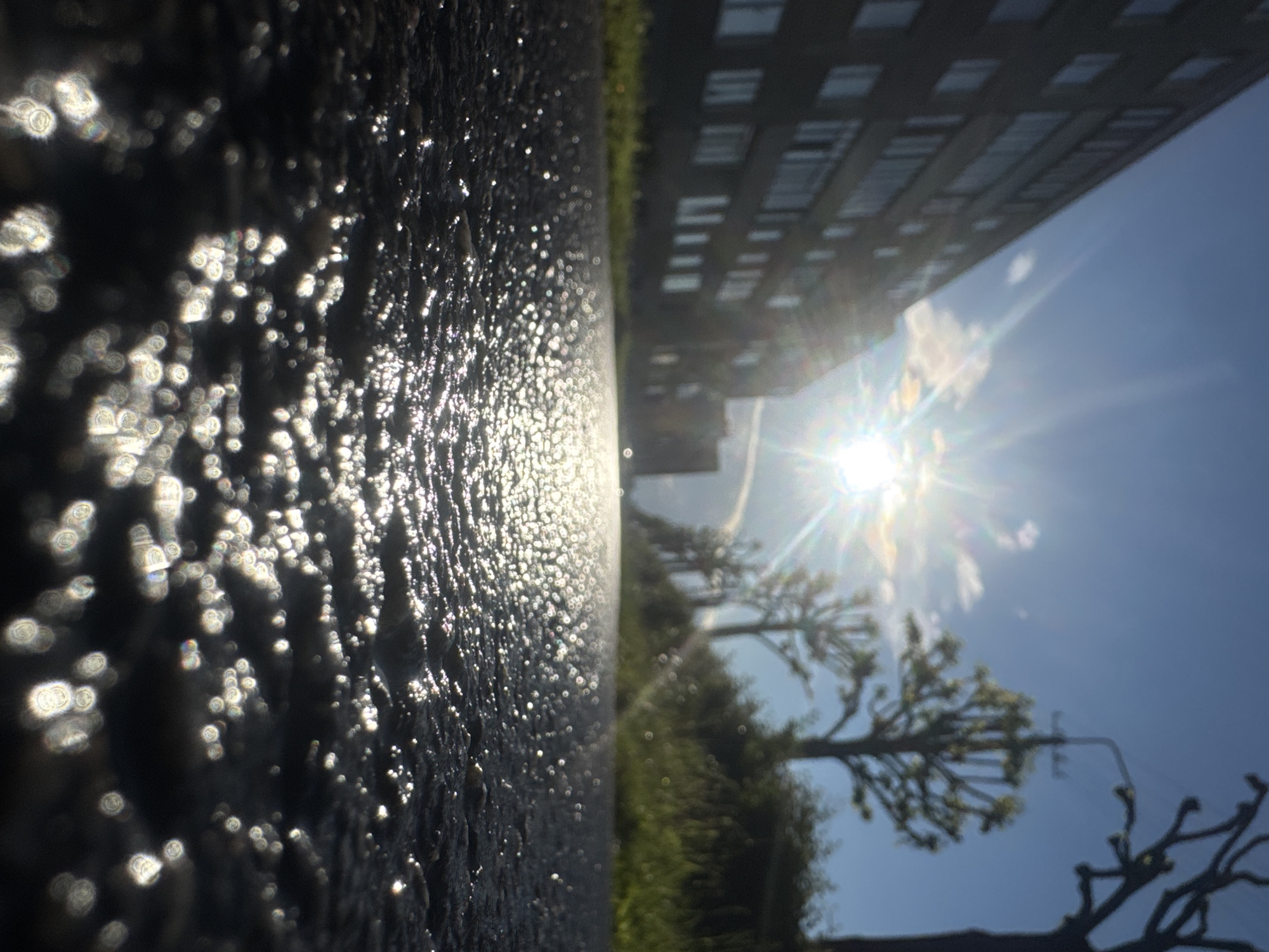The image depicts a low-angle view of a wet asphalt surface glistening with sunlight. In the background, a modern apartment building with numerous windows lines the left side of the frame. To the right, trees with bare branches and some with foliage are visible, along with a street lamp. The sky is bright blue with some scattered clouds, and the sun is prominently featured with visible light flares. The scene appears to be an urban setting, likely a street or pathway, with a focus on the texture and reflection of the wet ground. This scene could be located in Tallinn, Estonia, given the architectural style of the building and the presence of typical European trees.