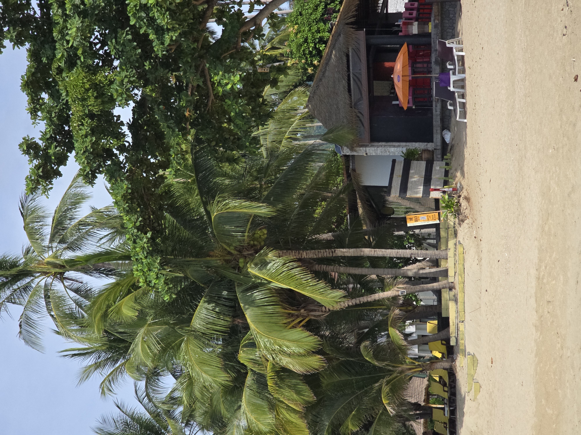 A beachfront scene features a thatched-roof structure with an orange umbrella and seating. Several palm trees dominate the left side of the image, with a large leafy tree on the right. In the foreground, a sandy beach is visible with lounge chairs and some yellow-covered chairs behind a low wall. A sign on the left side of the structure reads "THE BEACH." The sky is clear and blue.